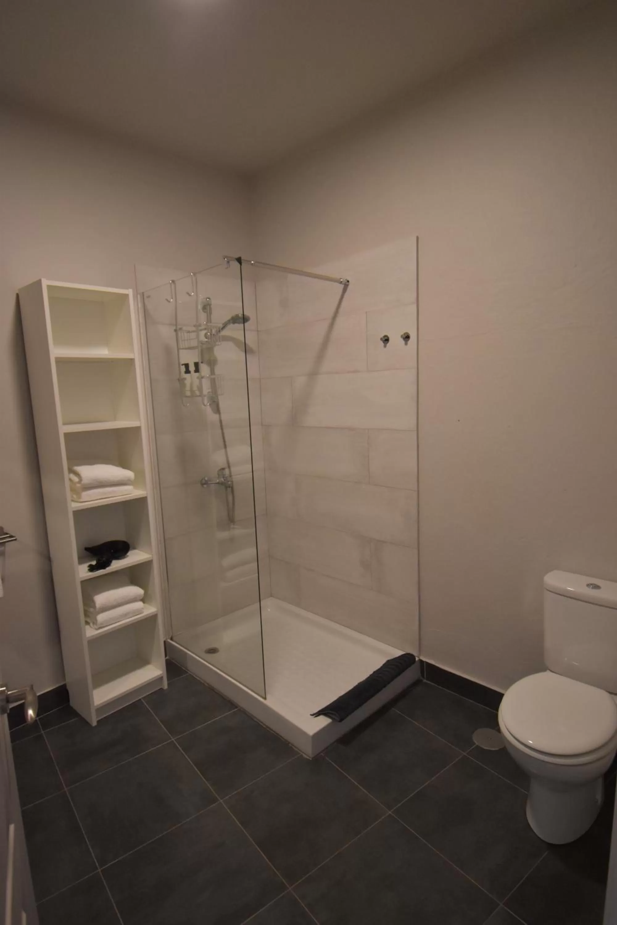 Shower in Villa Nestor