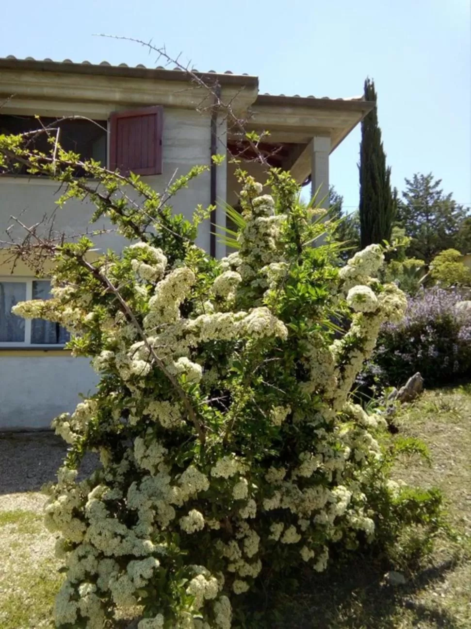 Spring in Casa d' Artista B&B