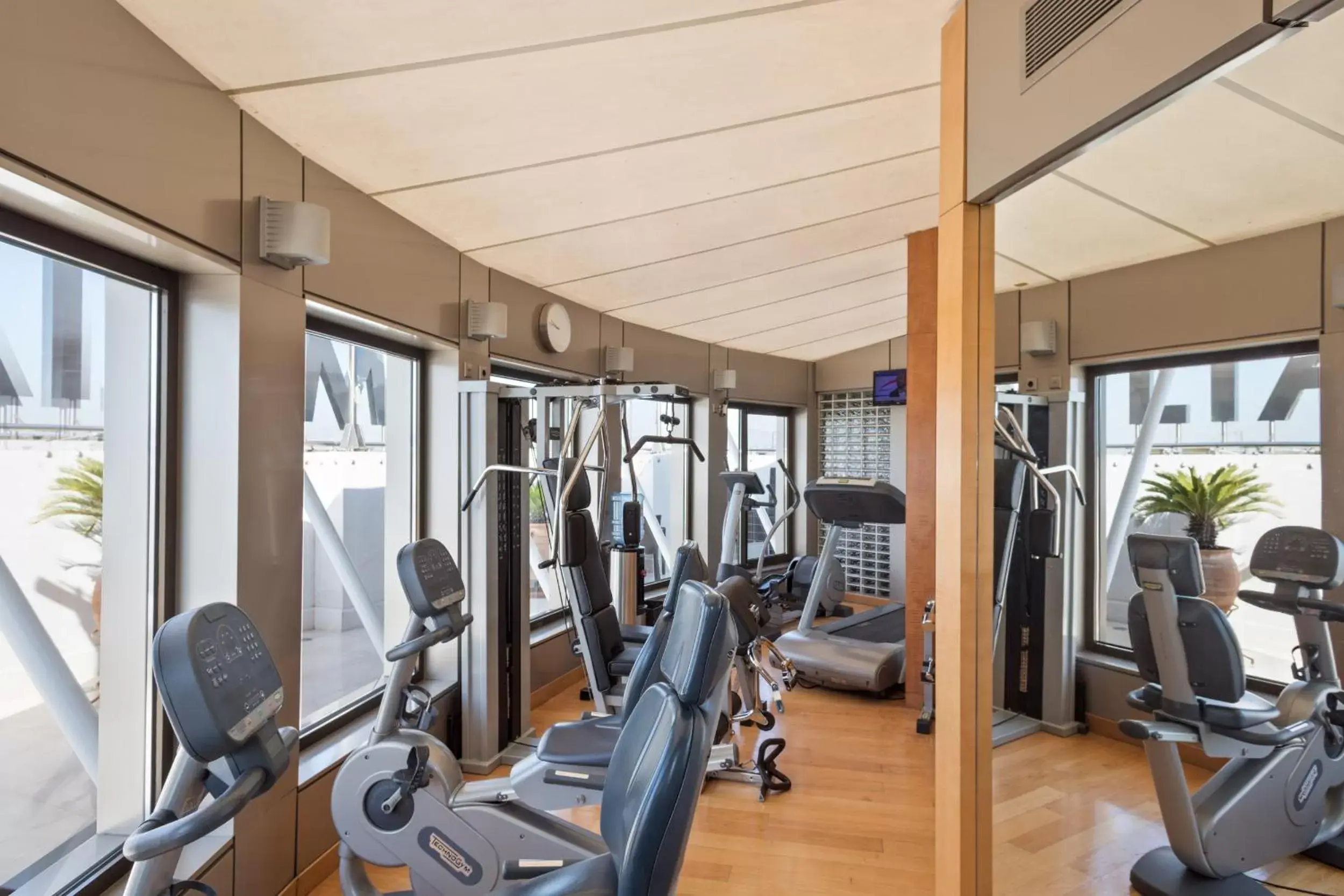 Fitness centre/facilities, Fitness Center/Facilities in Melia Athens