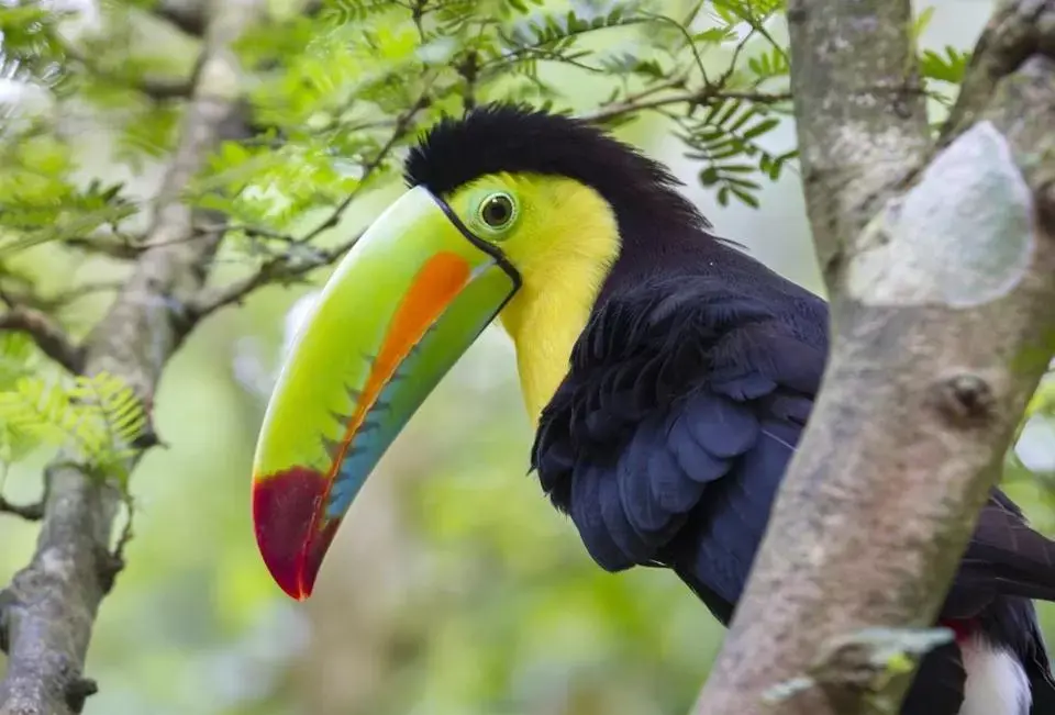 Hiking, Other Animals in Hotel Beachfront Vista Hermosa