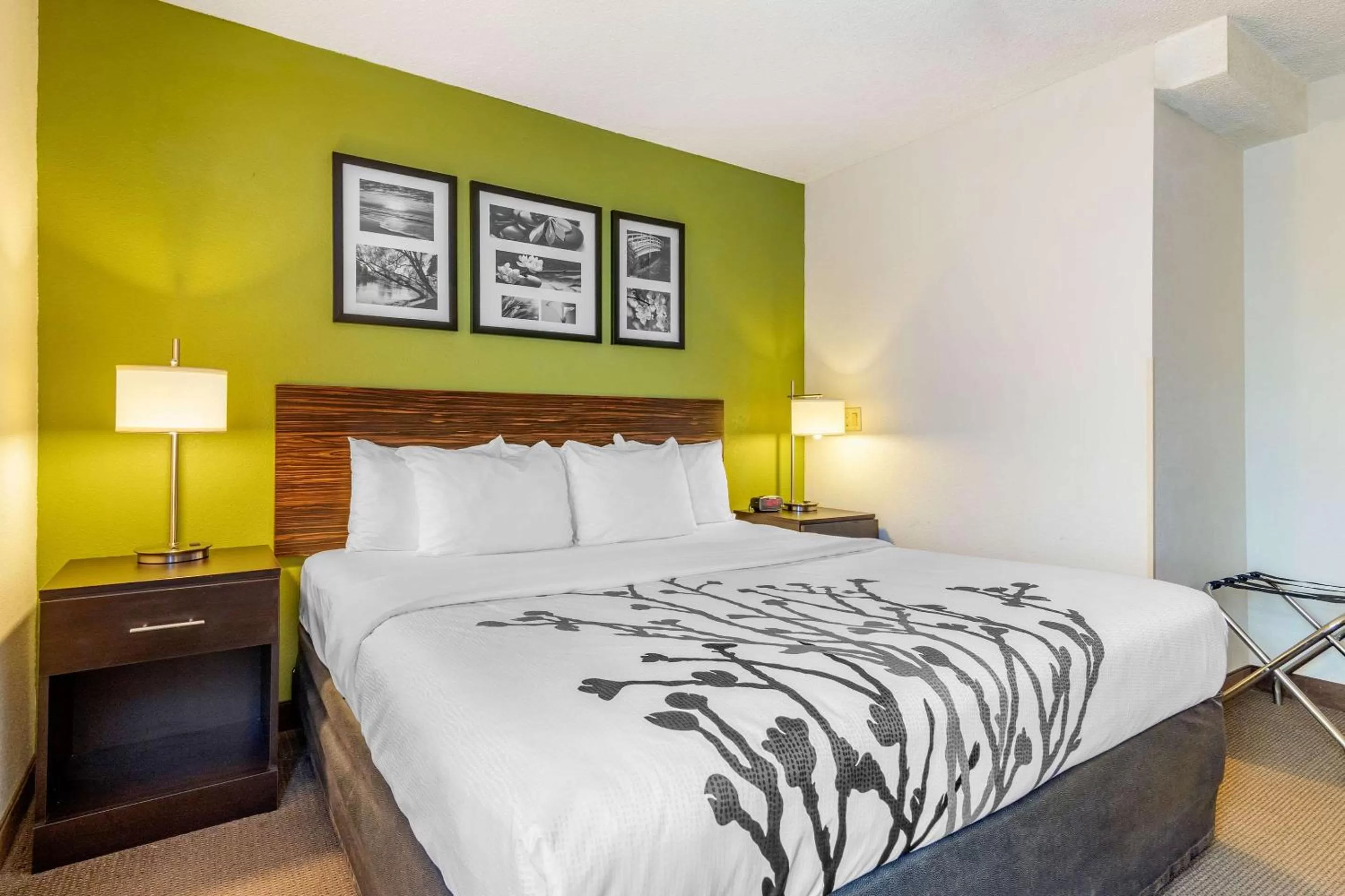 Photo of the whole room, Bed in Sleep Inn I-95 North Savannah