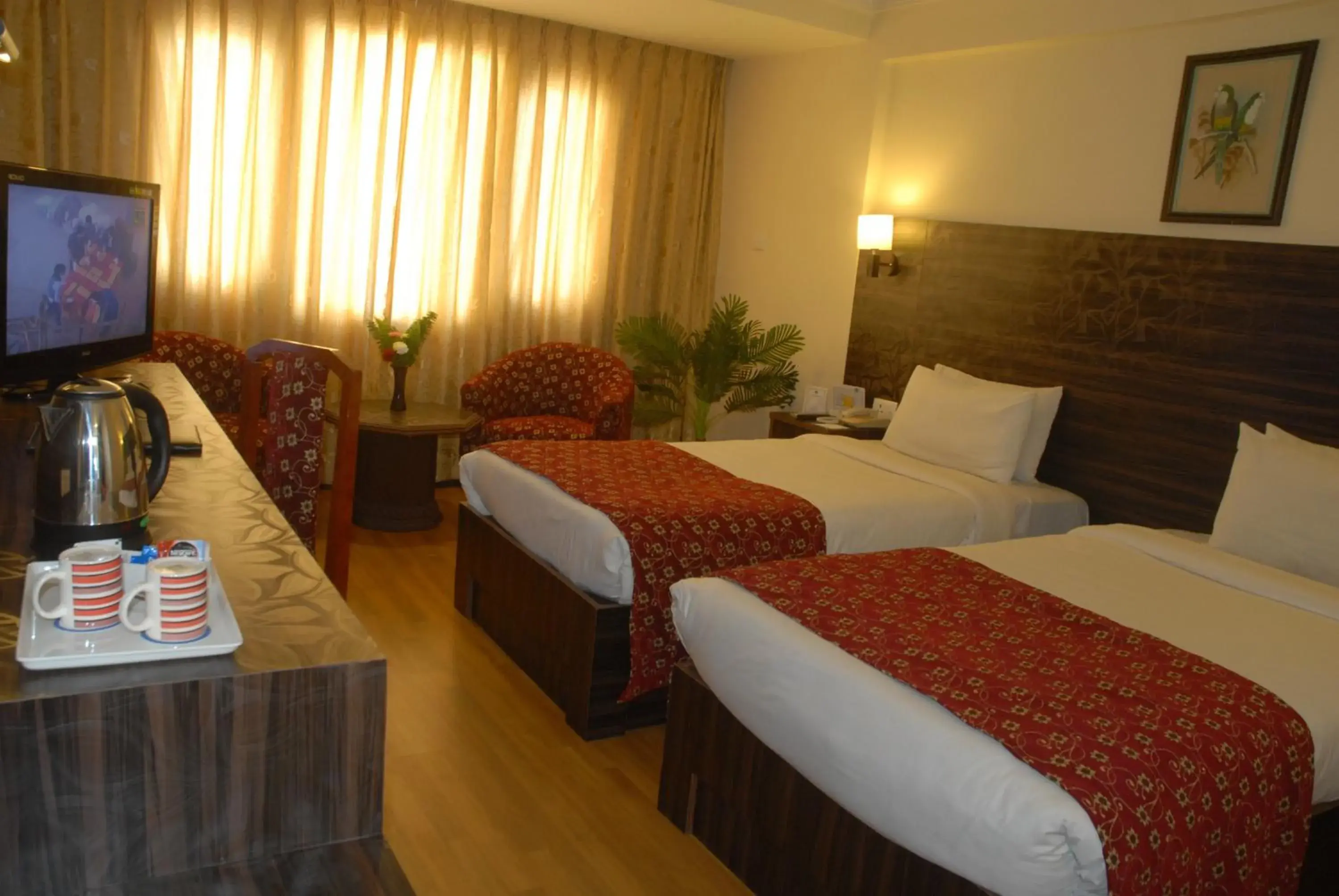 Deluxe Twin Room in Hotel Vaishali
