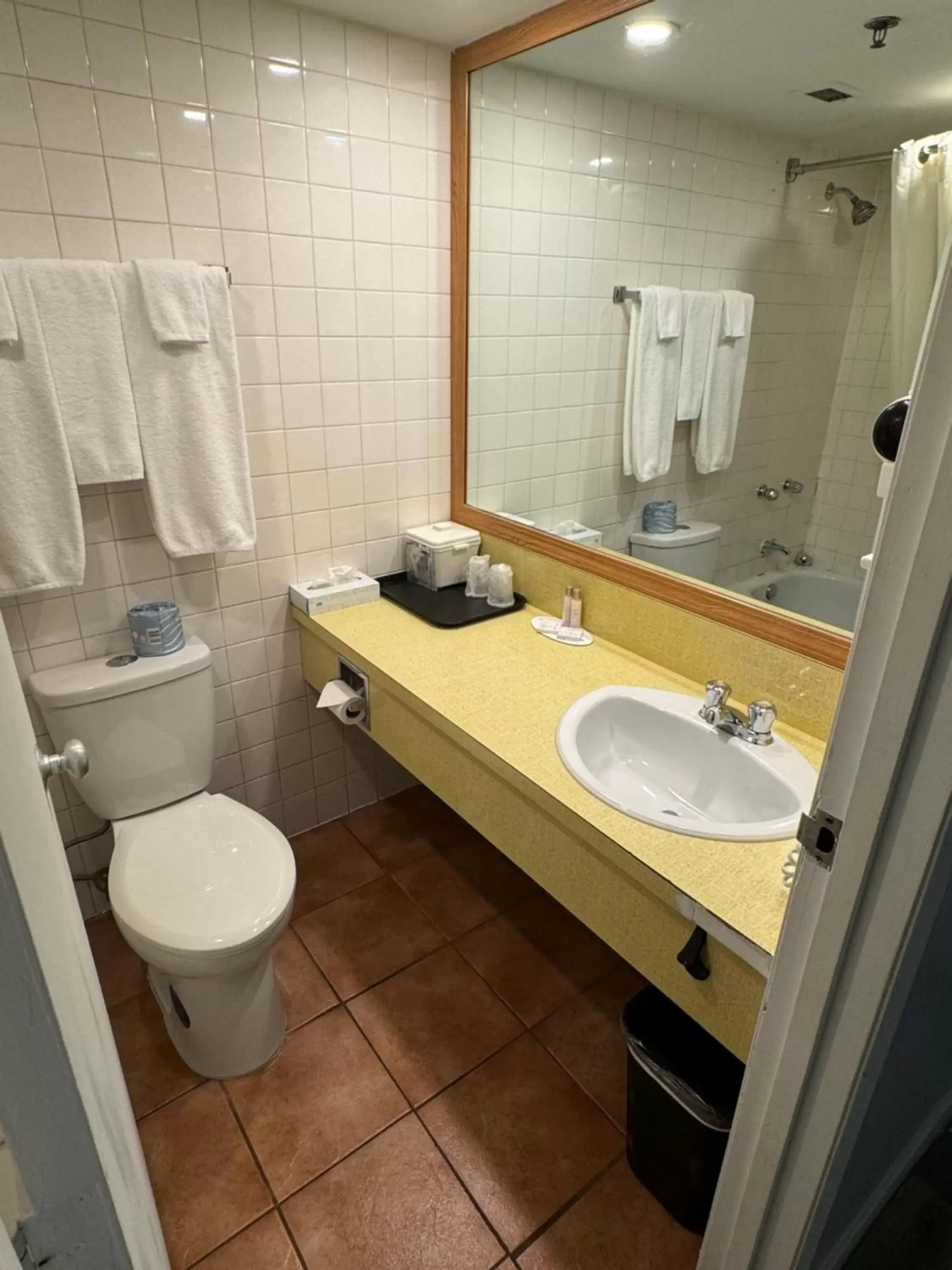 Bathroom in Travelodge by Wyndham Winnipeg