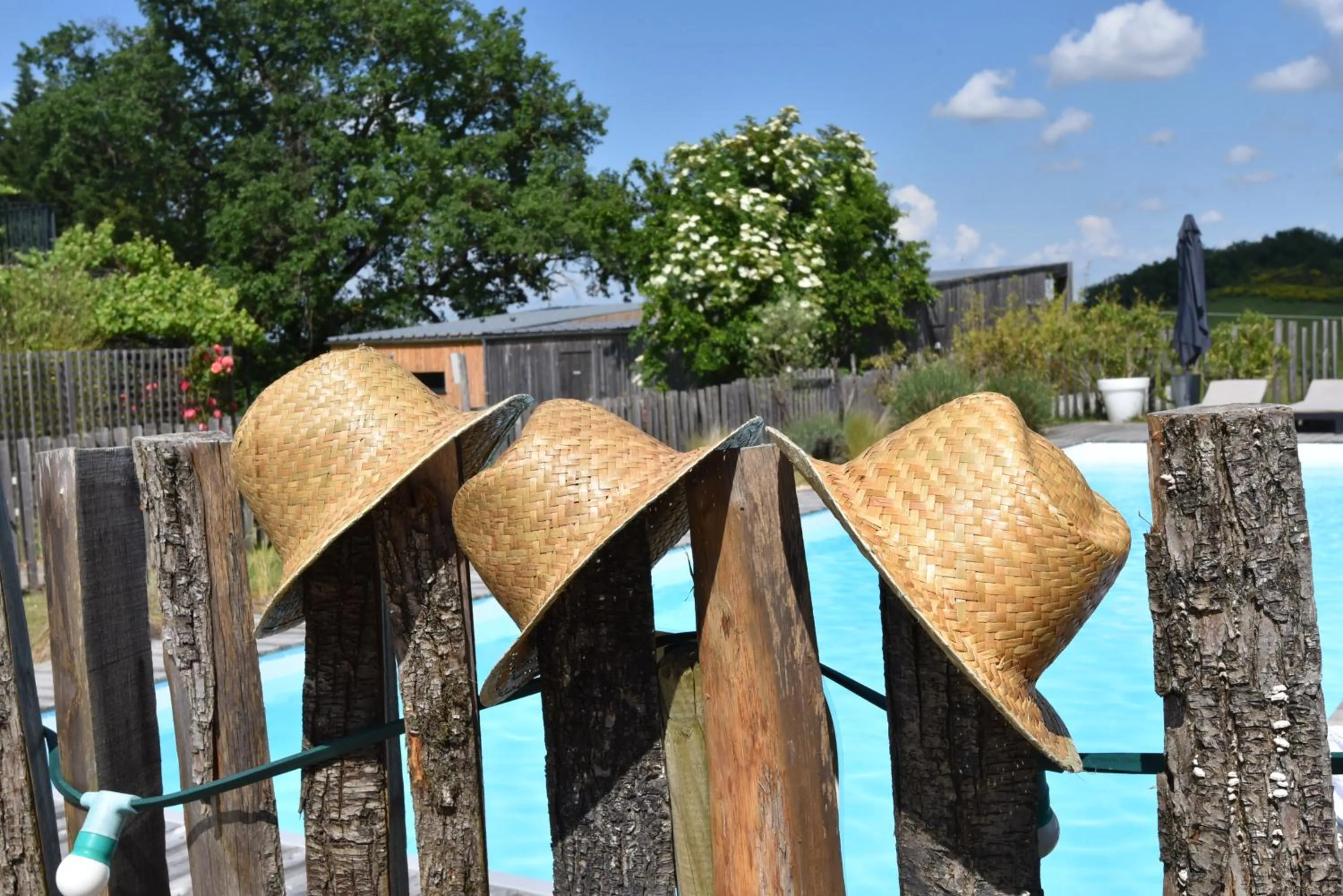 Swimming pool in Le Domaine de Baulieu, Singuliers Hotels