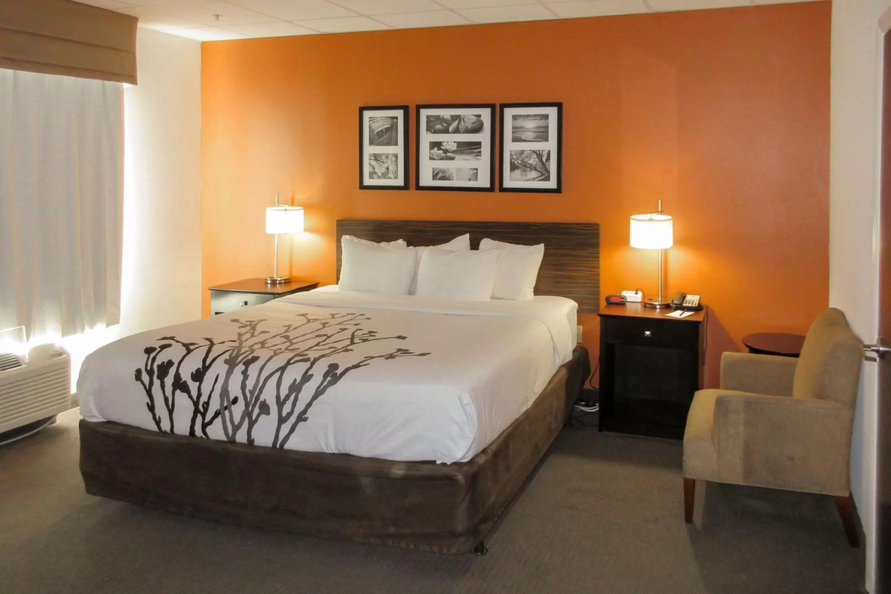 Photo of the whole room, Bed in Sleep Inn & Suites Ft Lauderdale International Airport