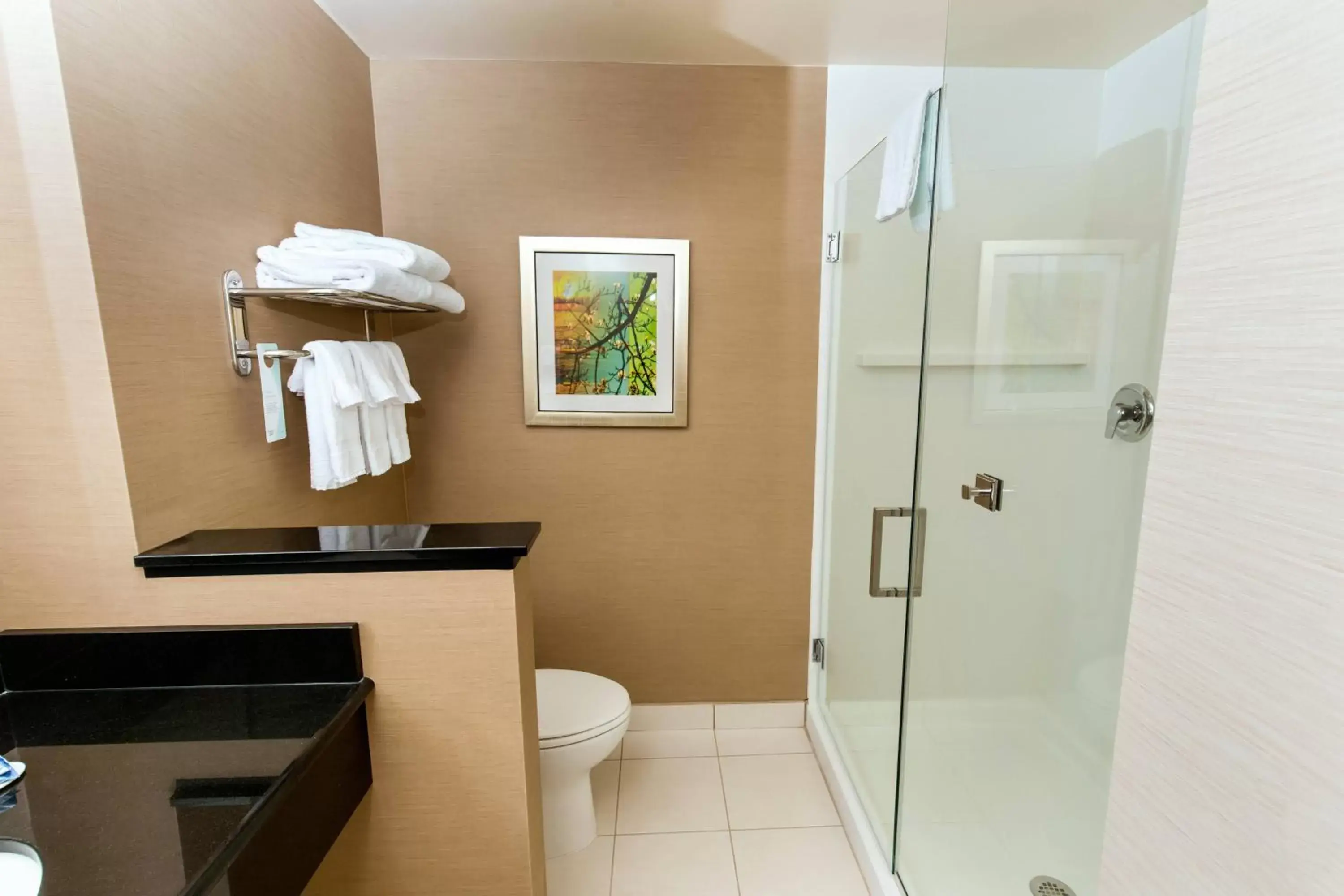 Bathroom in Fairfield Inn & Suites by Marriott Richmond Midlothian