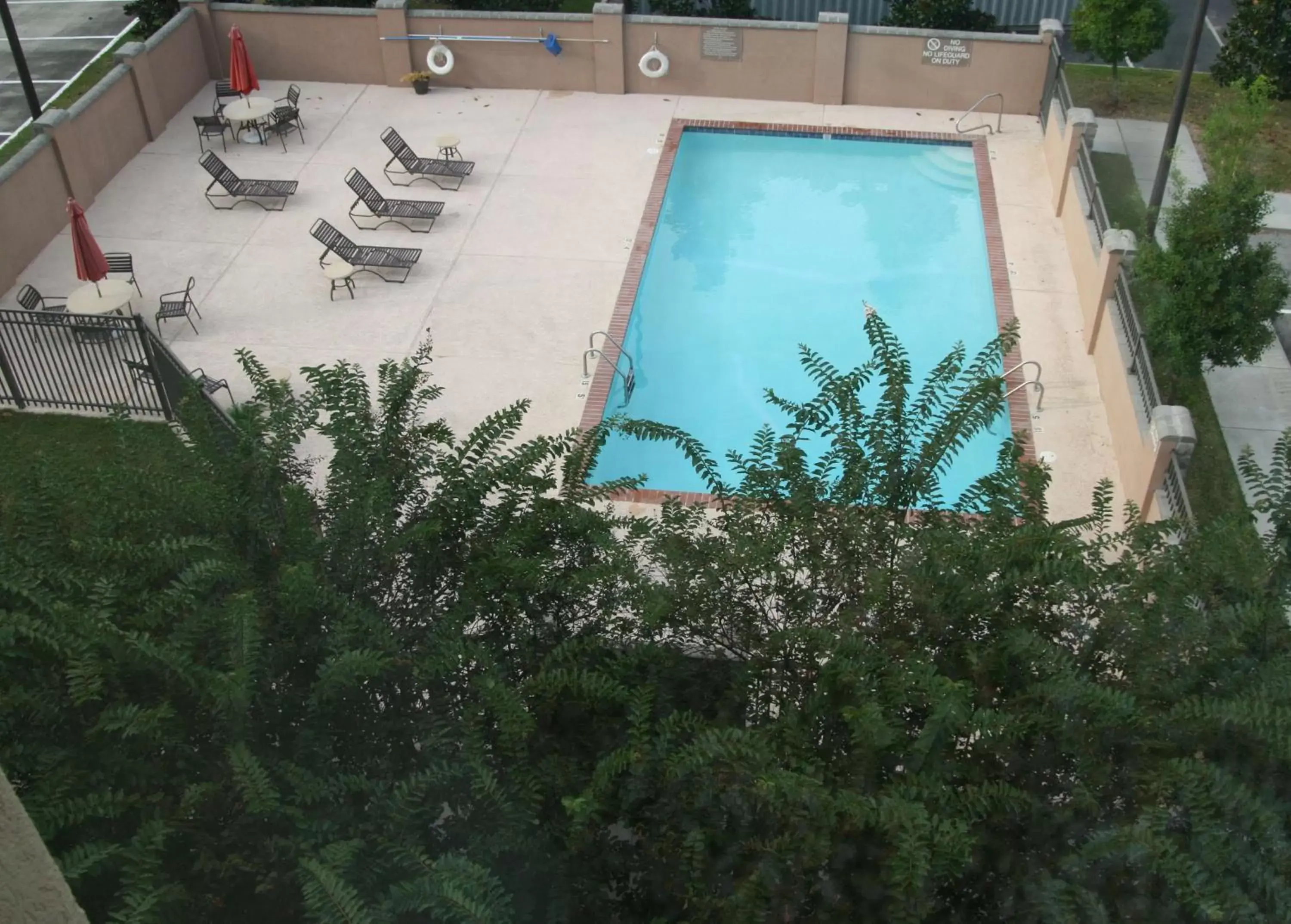Pool view in Hampton Inn and Suites Lafayette Pool view in Hampton Inn and Suites Lafayette