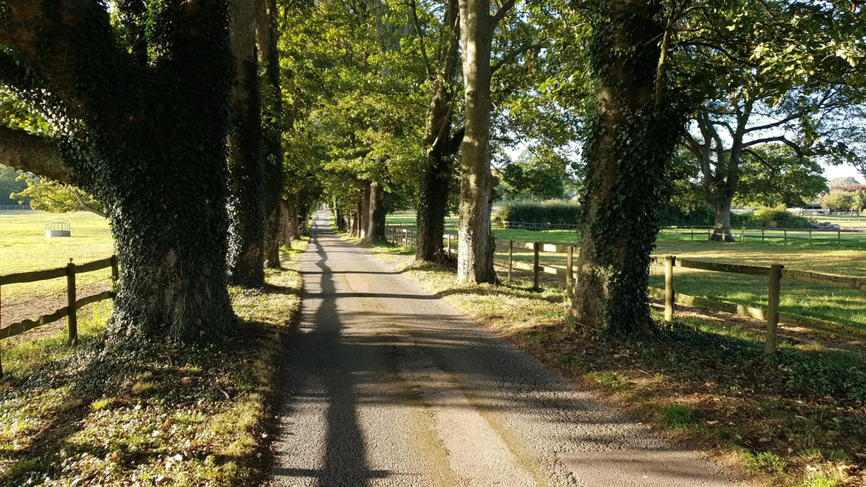 Facade/entrance in Farnham House Hotel Facade/entrance in Farnham House Hotel