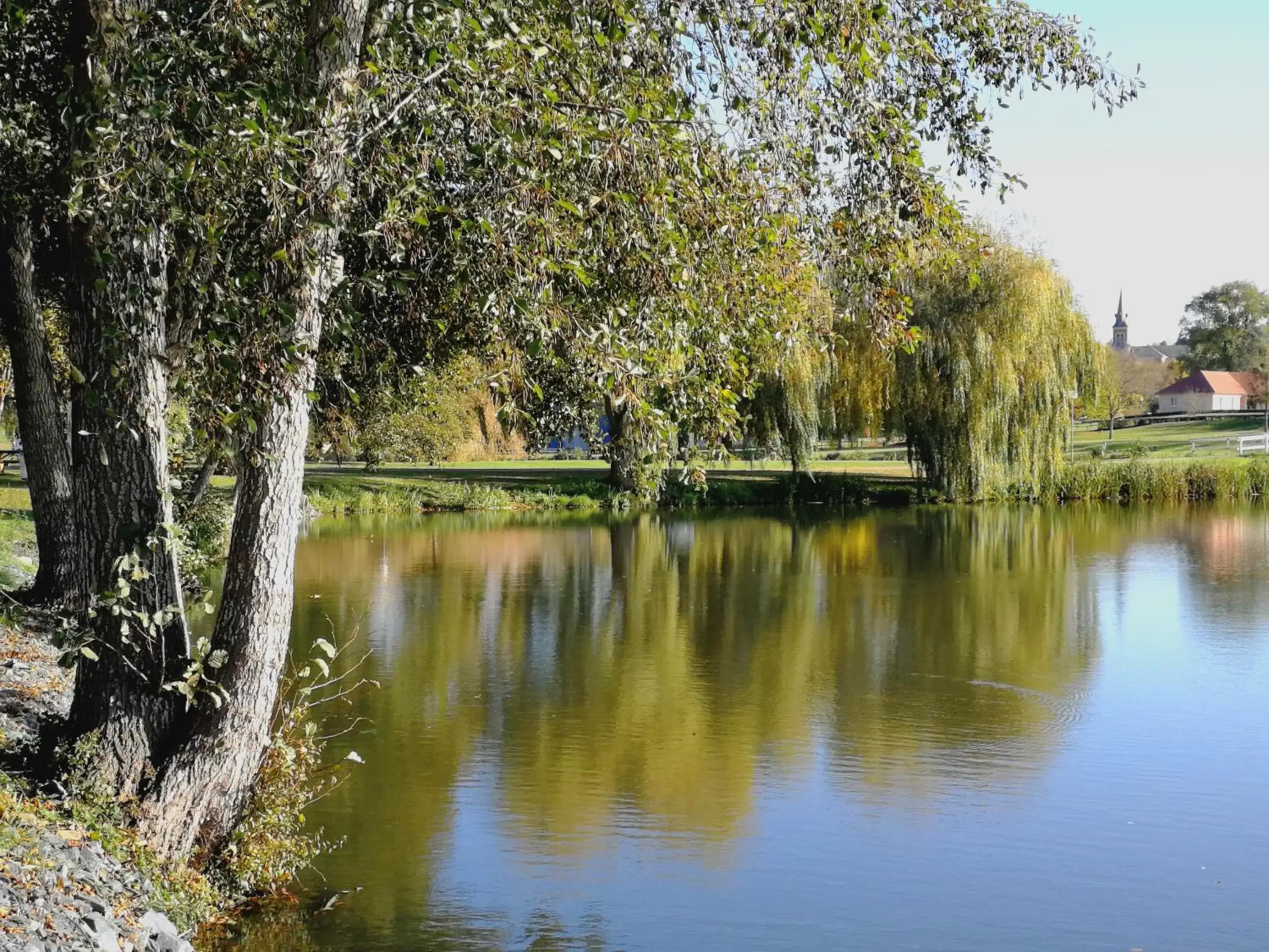 Activities in Logis Hotel La Tourelle du Beffroi