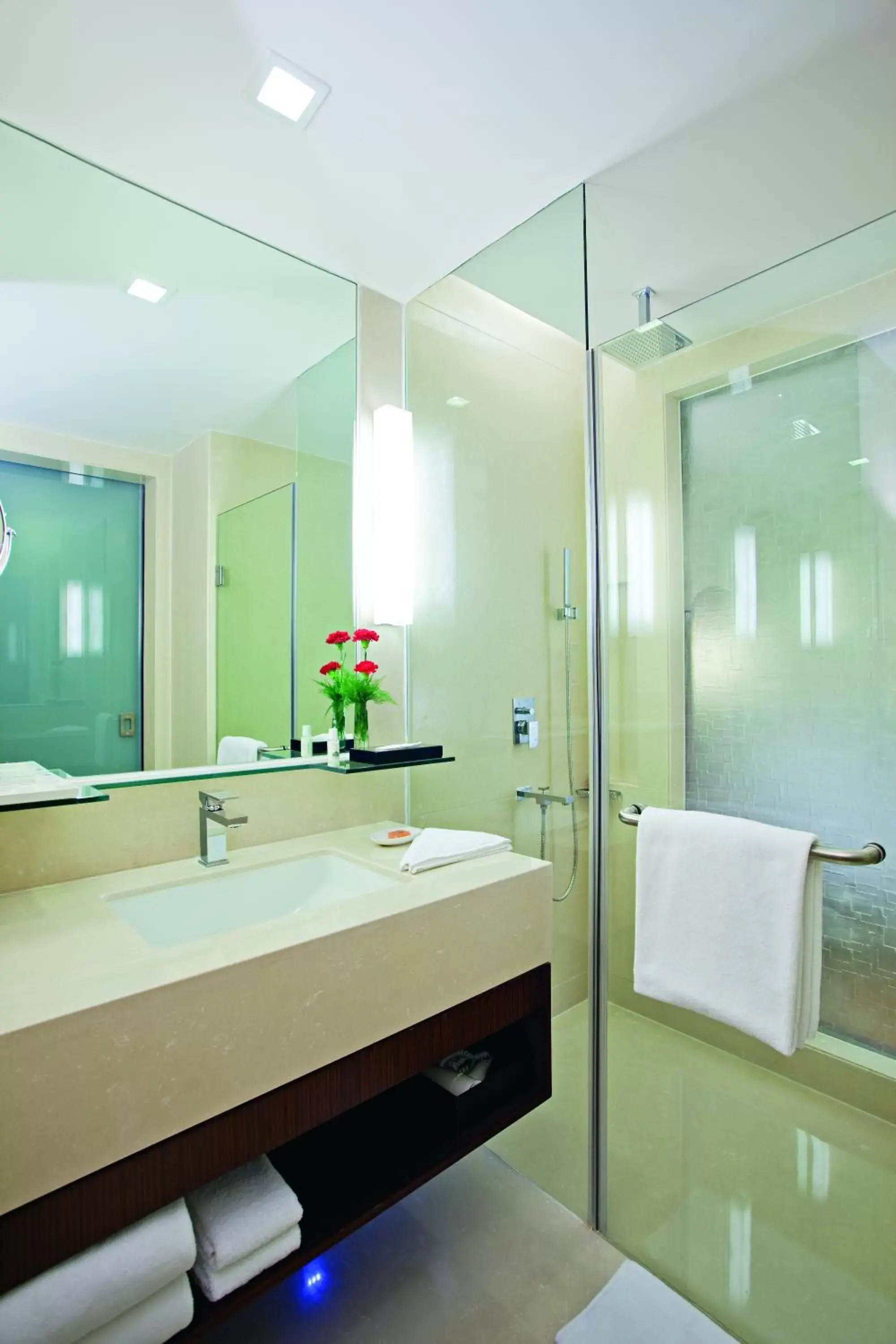 Bathroom in Country Inn & Suites By Radisson, Sahibabad