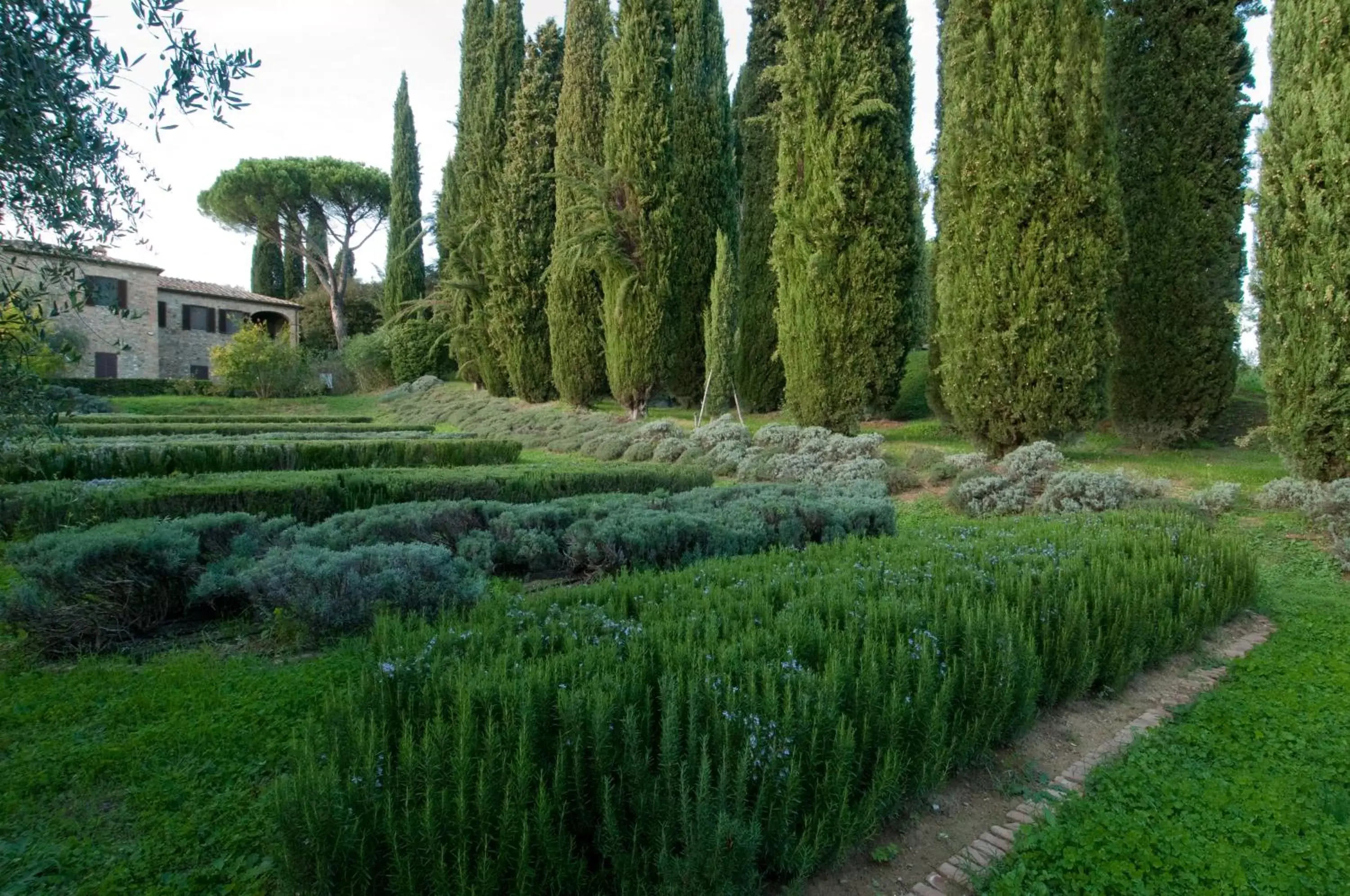 Garden in Borgo La Torre alle Tolfe