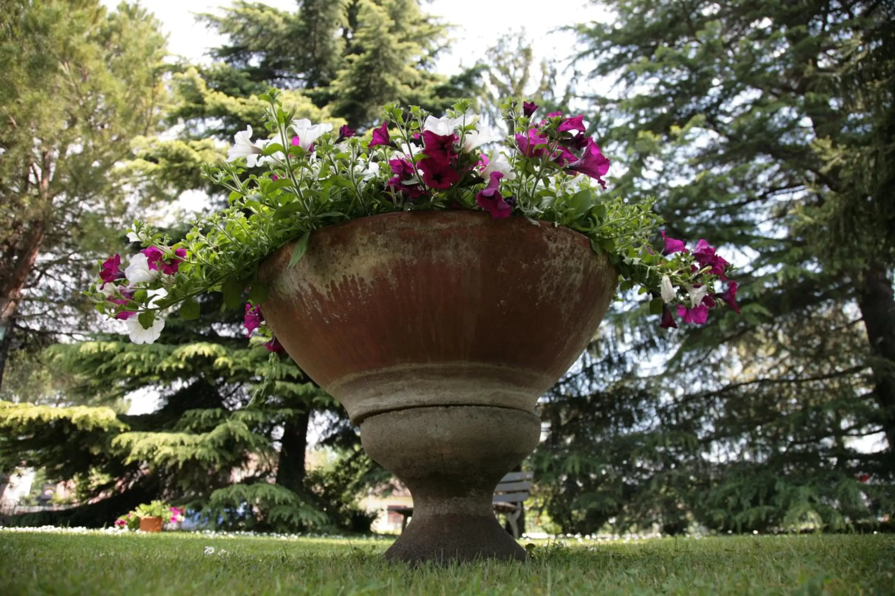 Garden in Hotel Bassetto