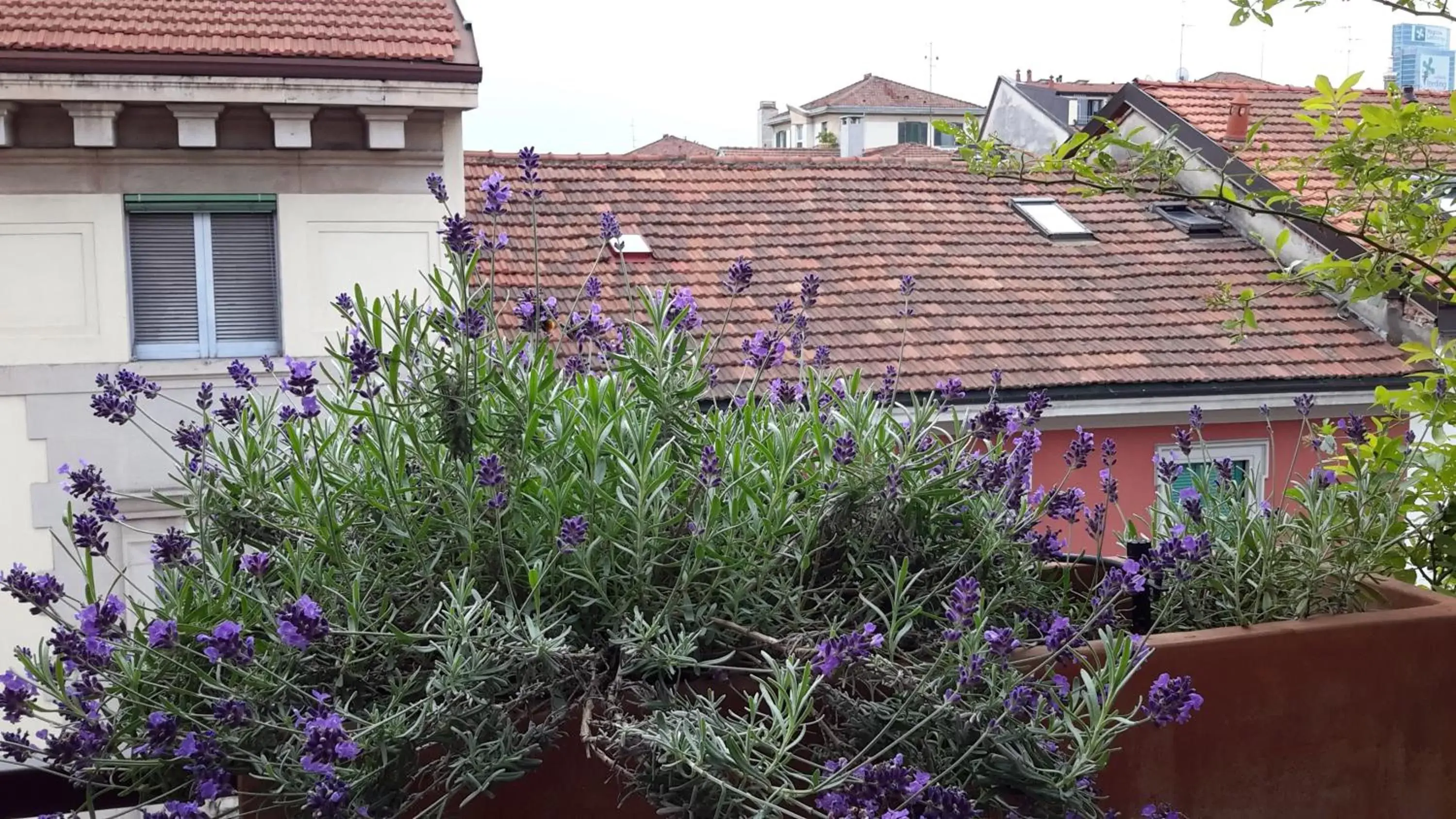 Balcony/Terrace, Neighborhood in CasaTitta