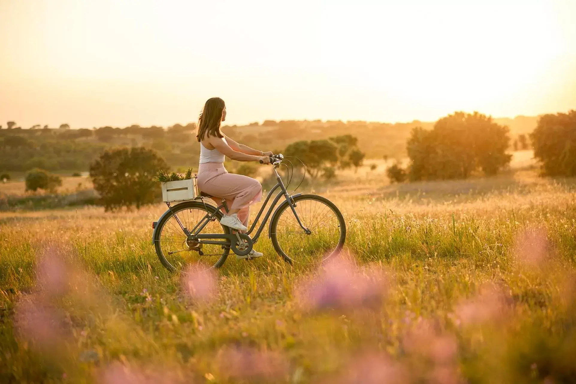 Activities, Biking in Octant Evora