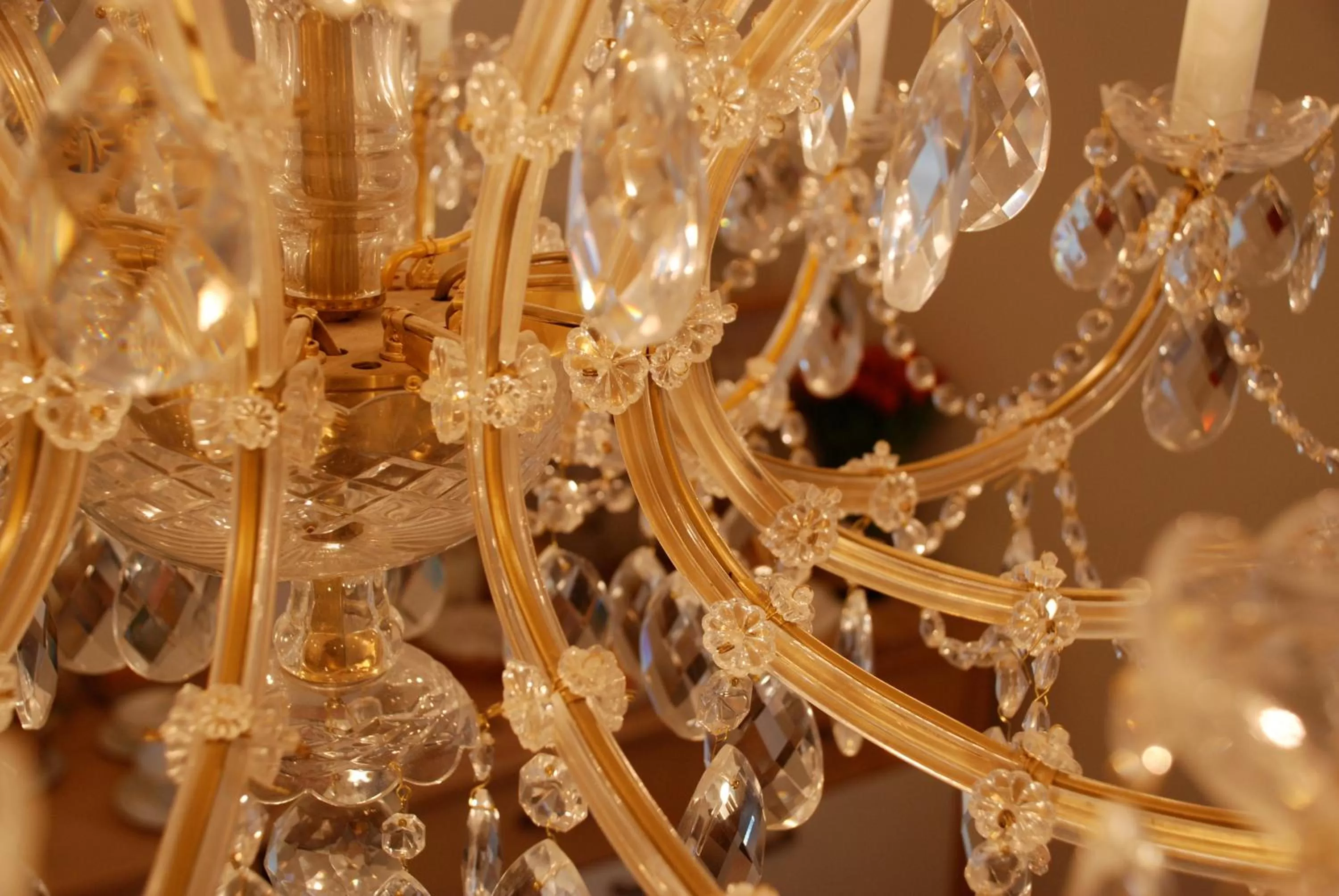 Restaurant/places to eat in The Bed + Breakfast