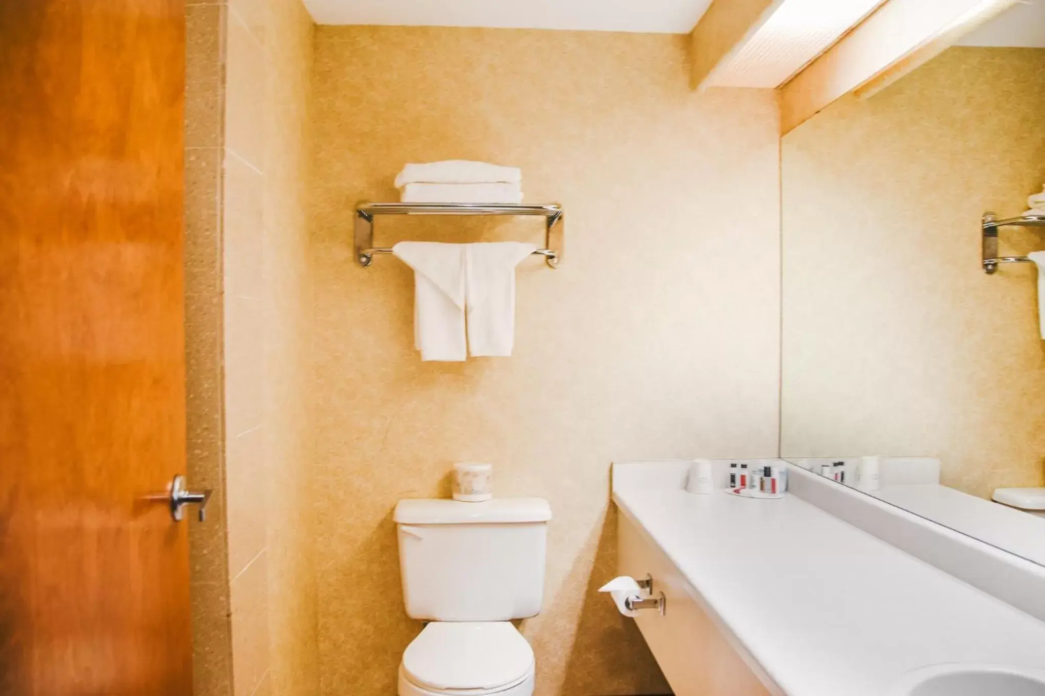 Bathroom in Stony Plain Inn & Suites
