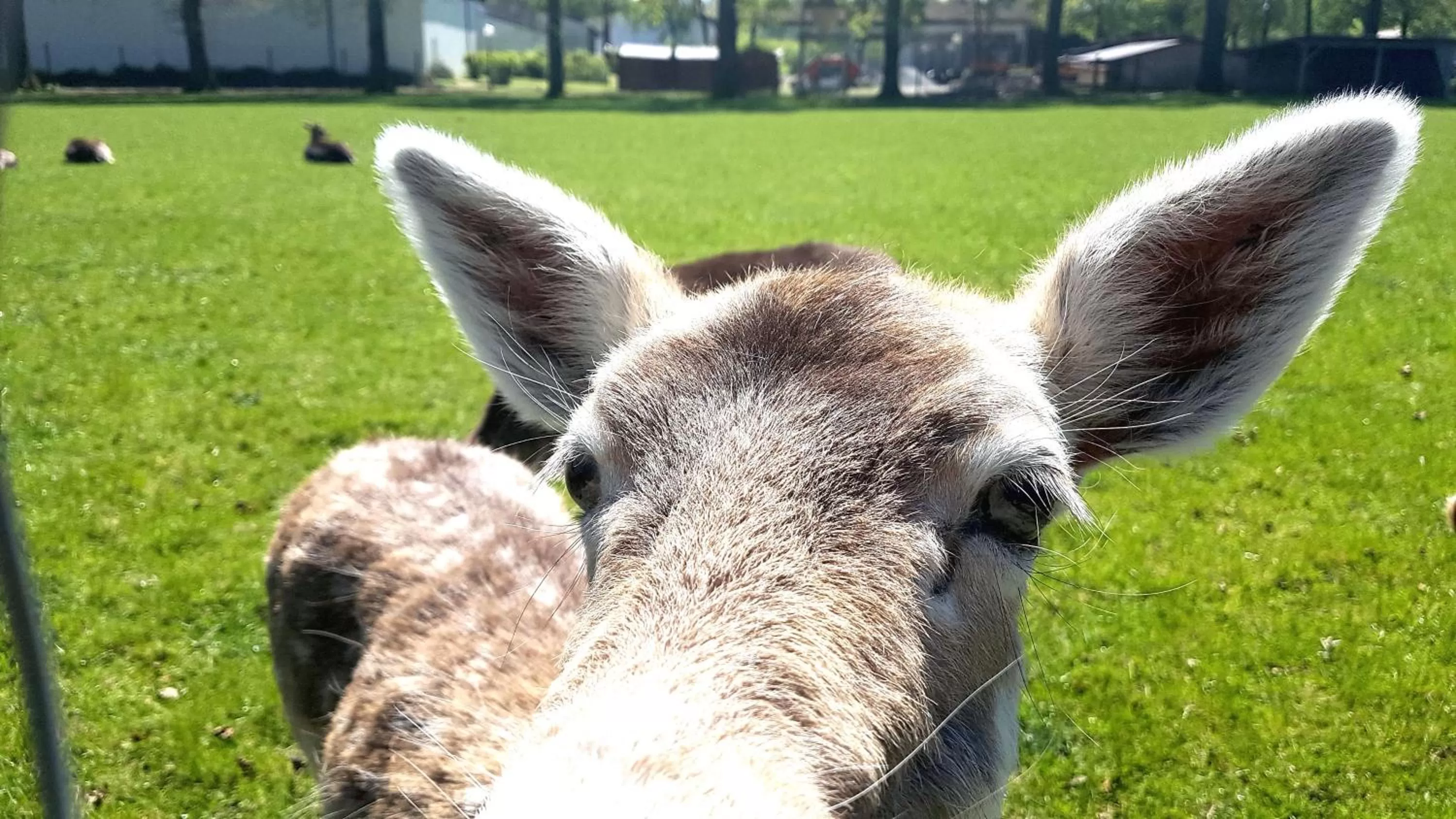 Nearby landmark in Kurhotel Anders