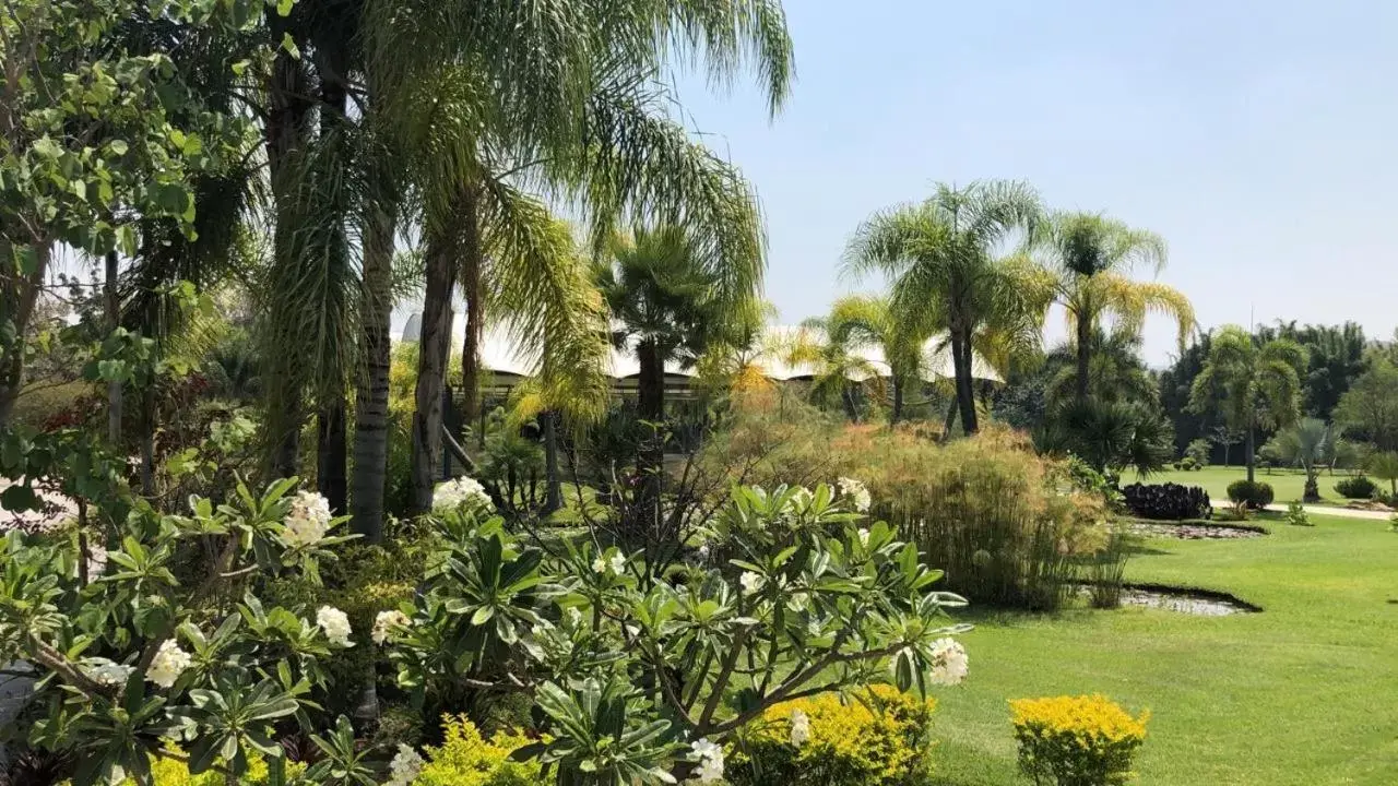 Garden in Huayacán Cuernavaca Curamoria Collection