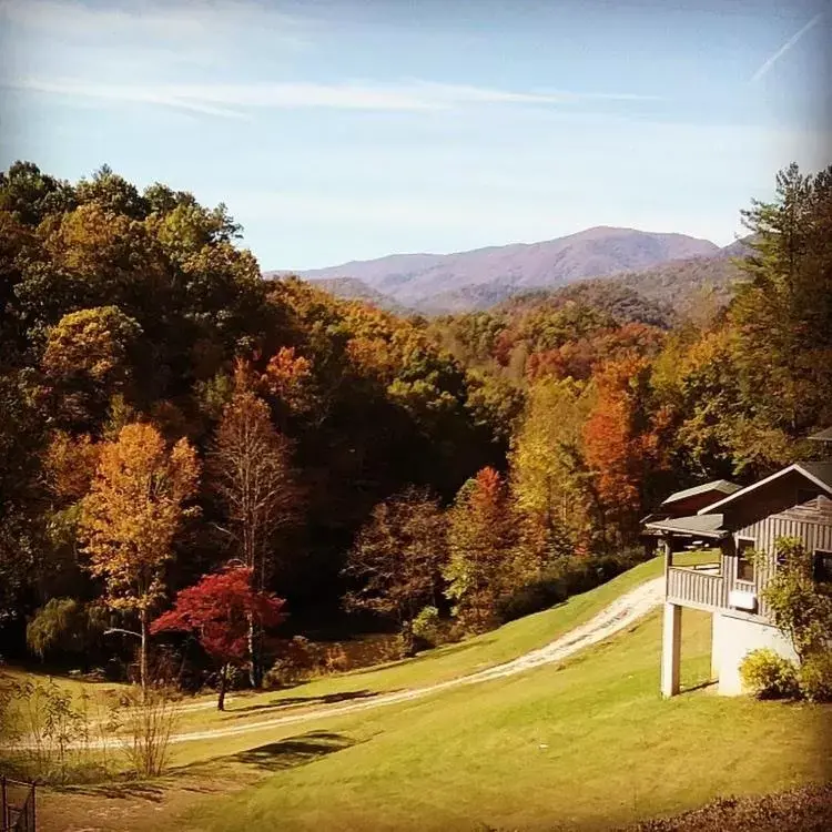 View (from property/room) in Nantahala Village