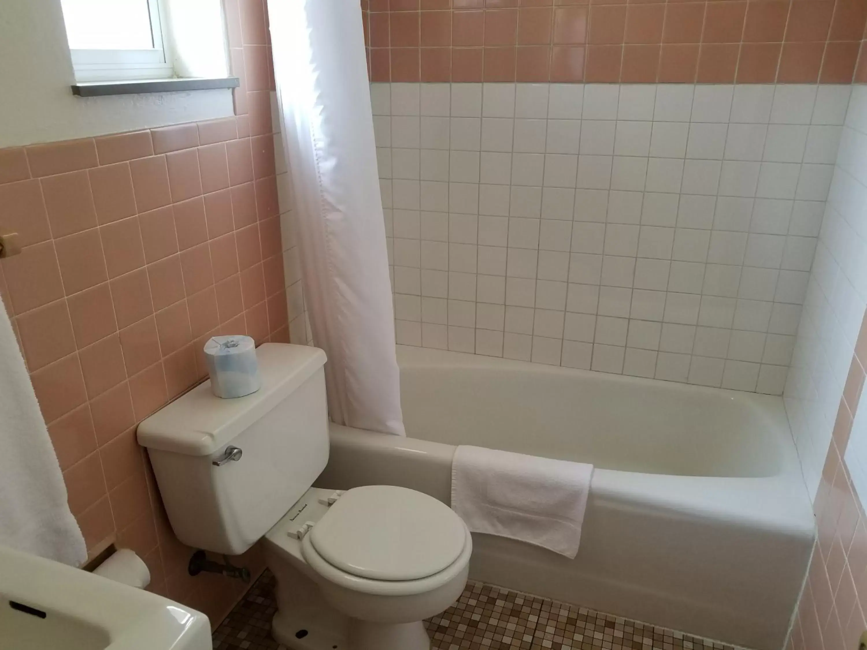 Shower, Bathroom in West Plains Motel