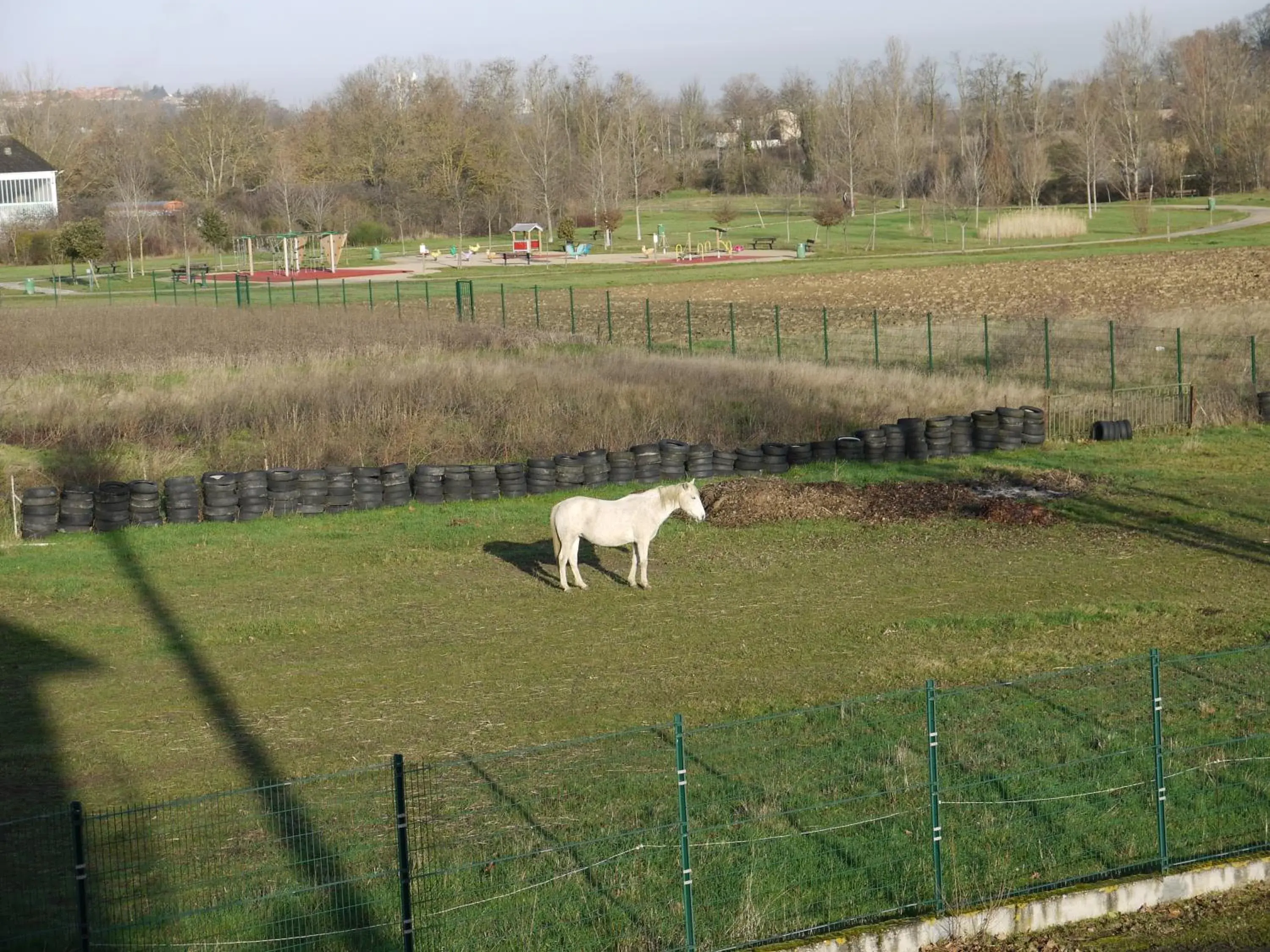 Facade/entrance, Other Animals in La Quietat