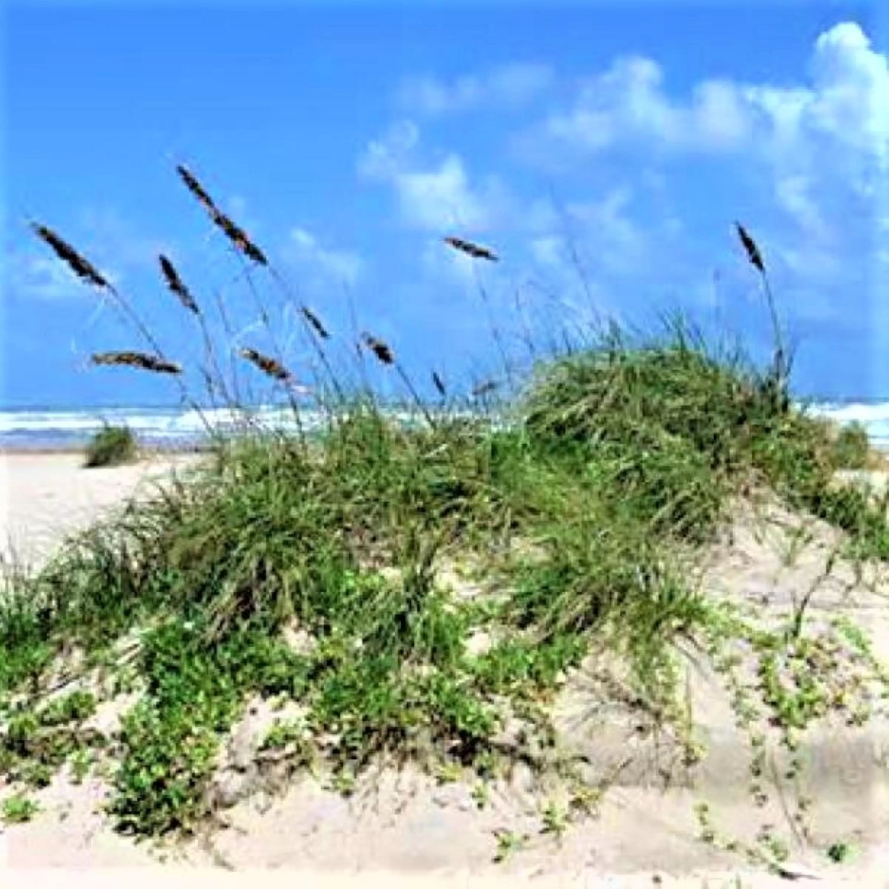 Beach, Winter in Village by the Gulf
