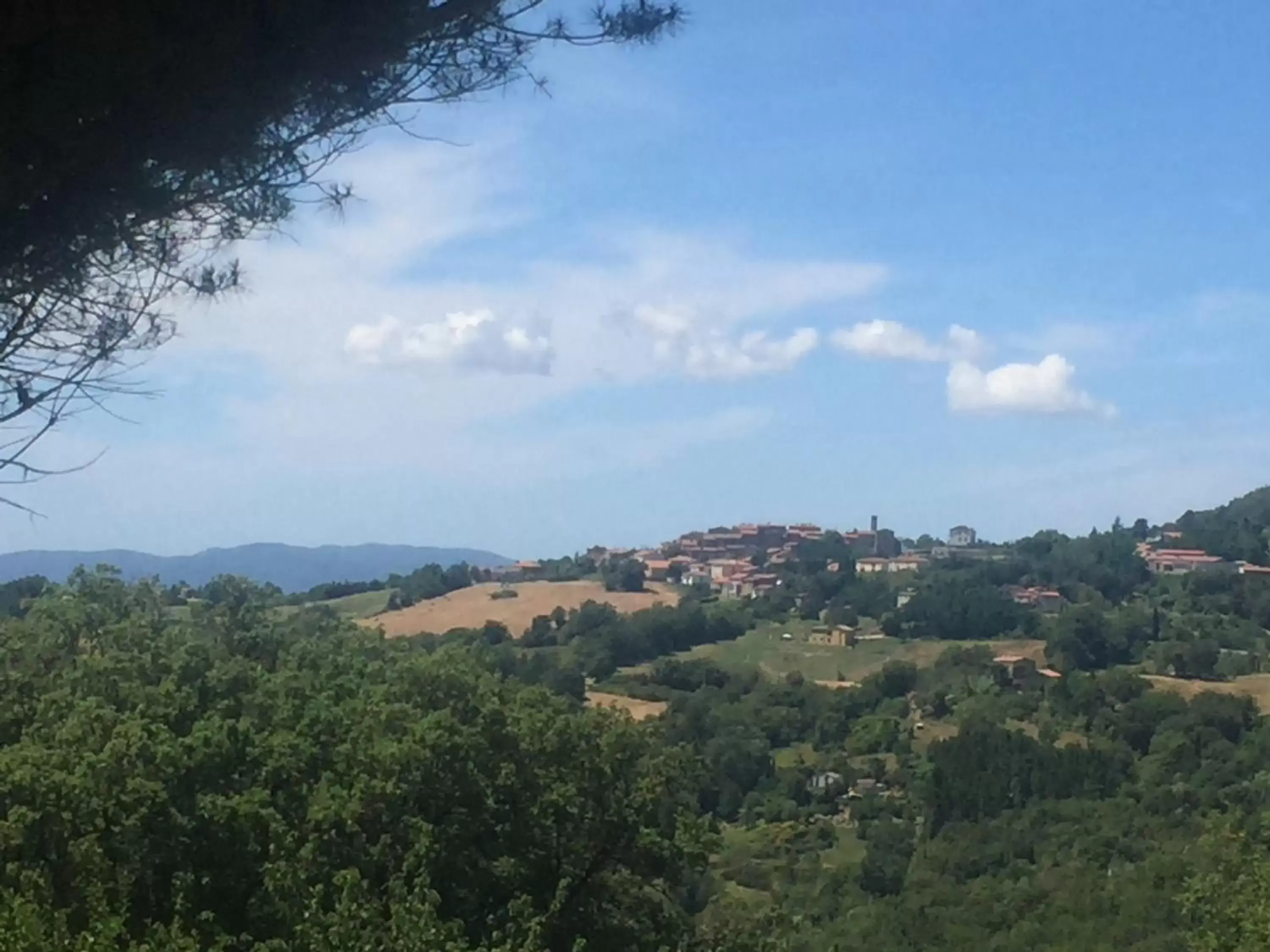 Natural landscape, Bird's-eye View in B&B Podere Camaiano