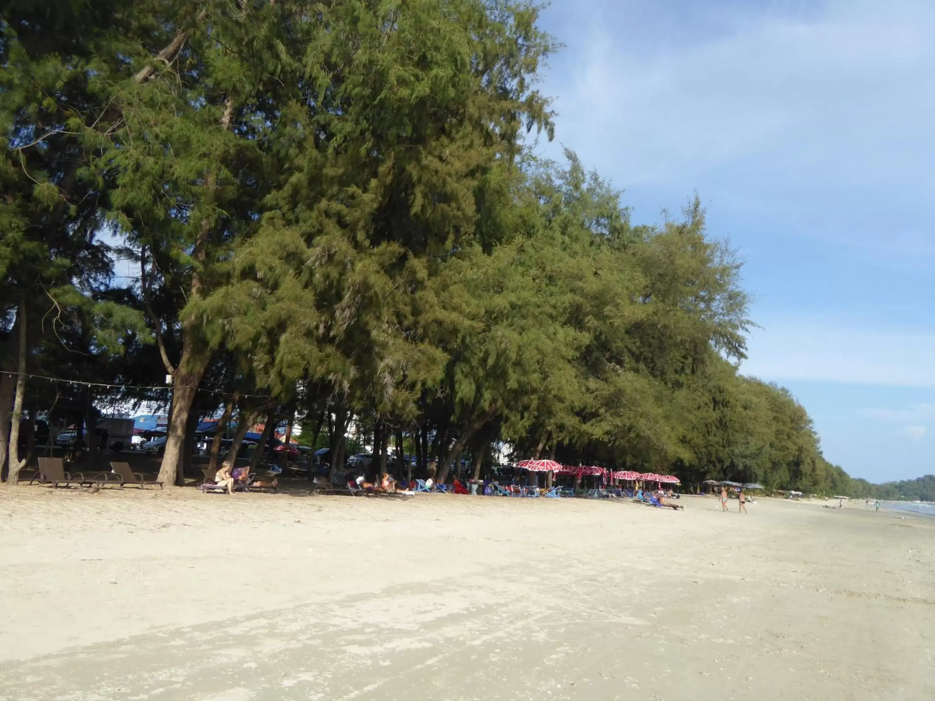 Beach in The Oriental Tropical Beach at VIP Resort