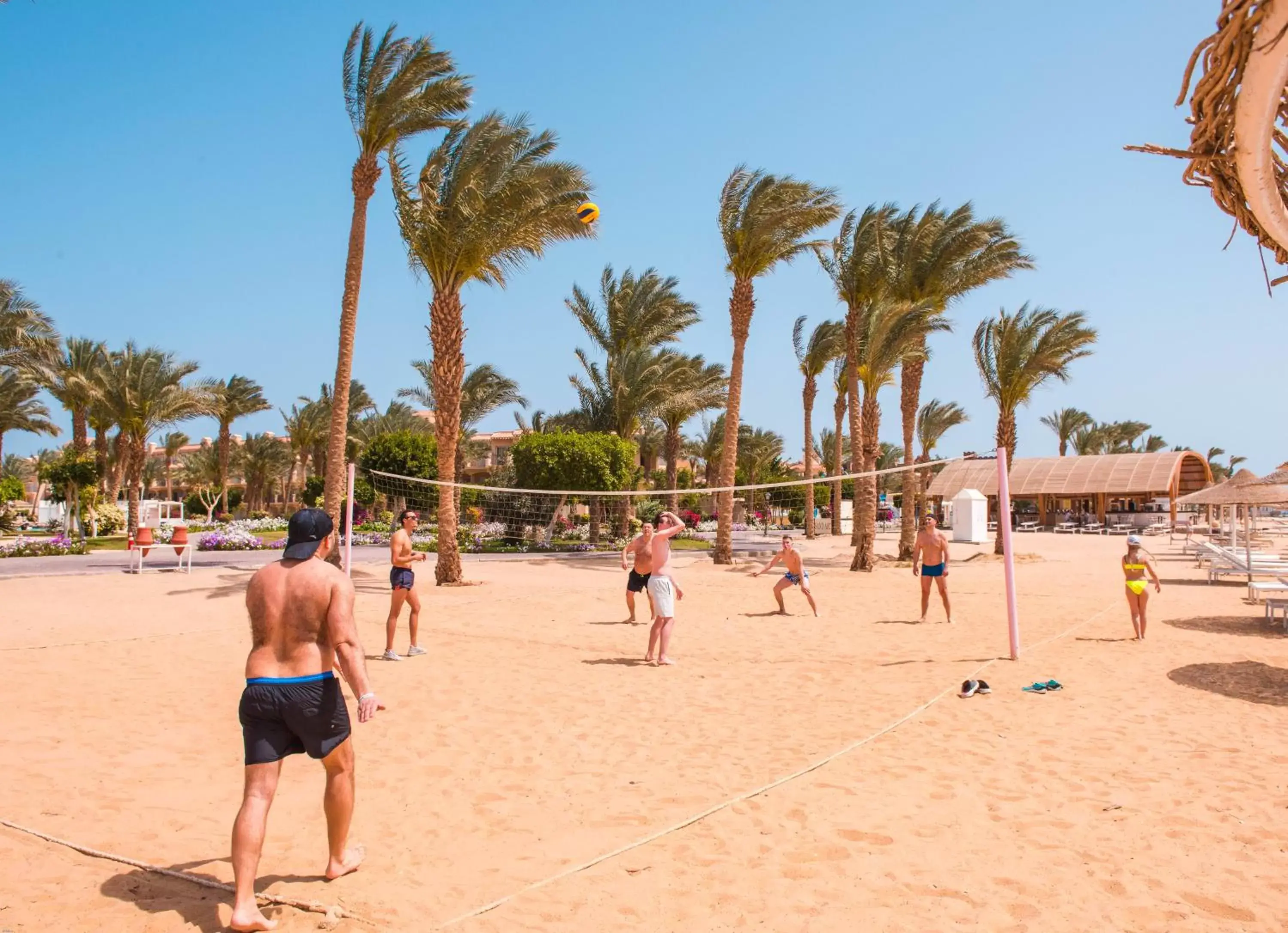 People, Other Activities in Pyramisa Beach Resort Sahl Hasheesh