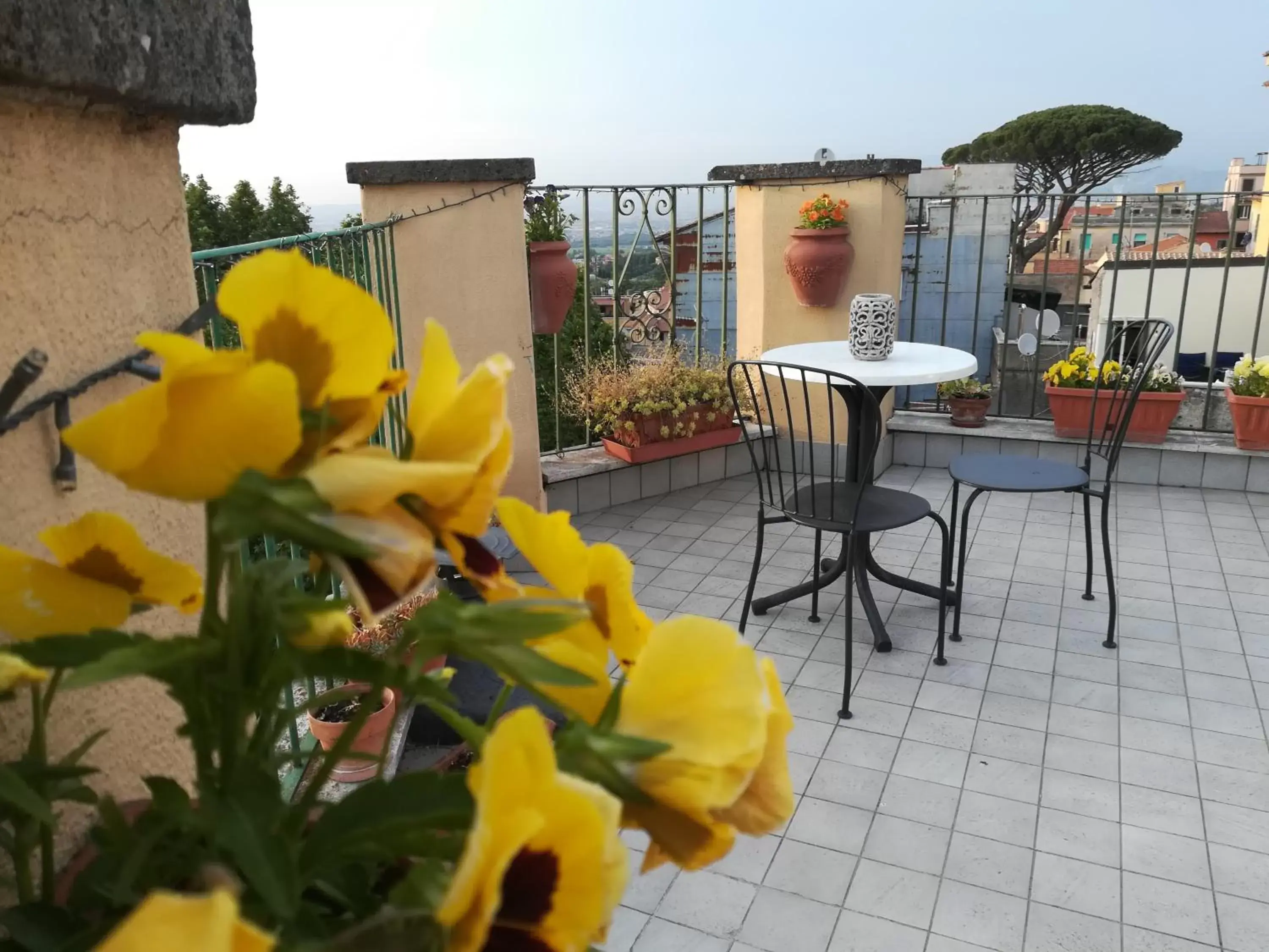 Balcony/Terrace in B&B Buonfiglio Cicconcelli - Terrazza panoramica