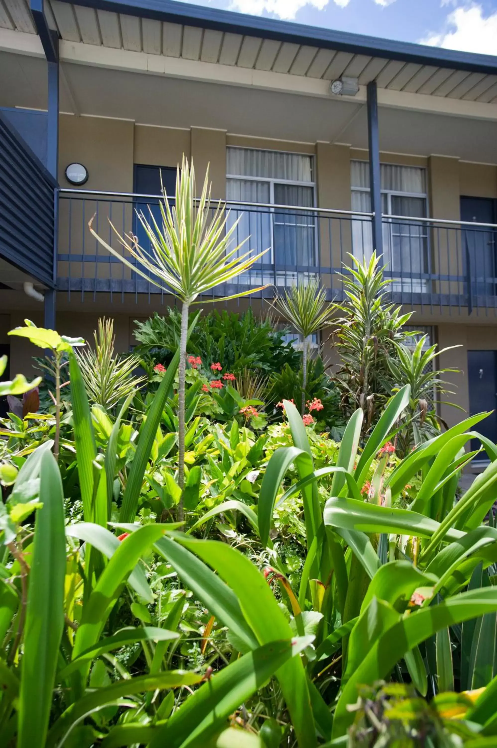 Facade/entrance, Property Building in Mid City Motor Inn Singleton