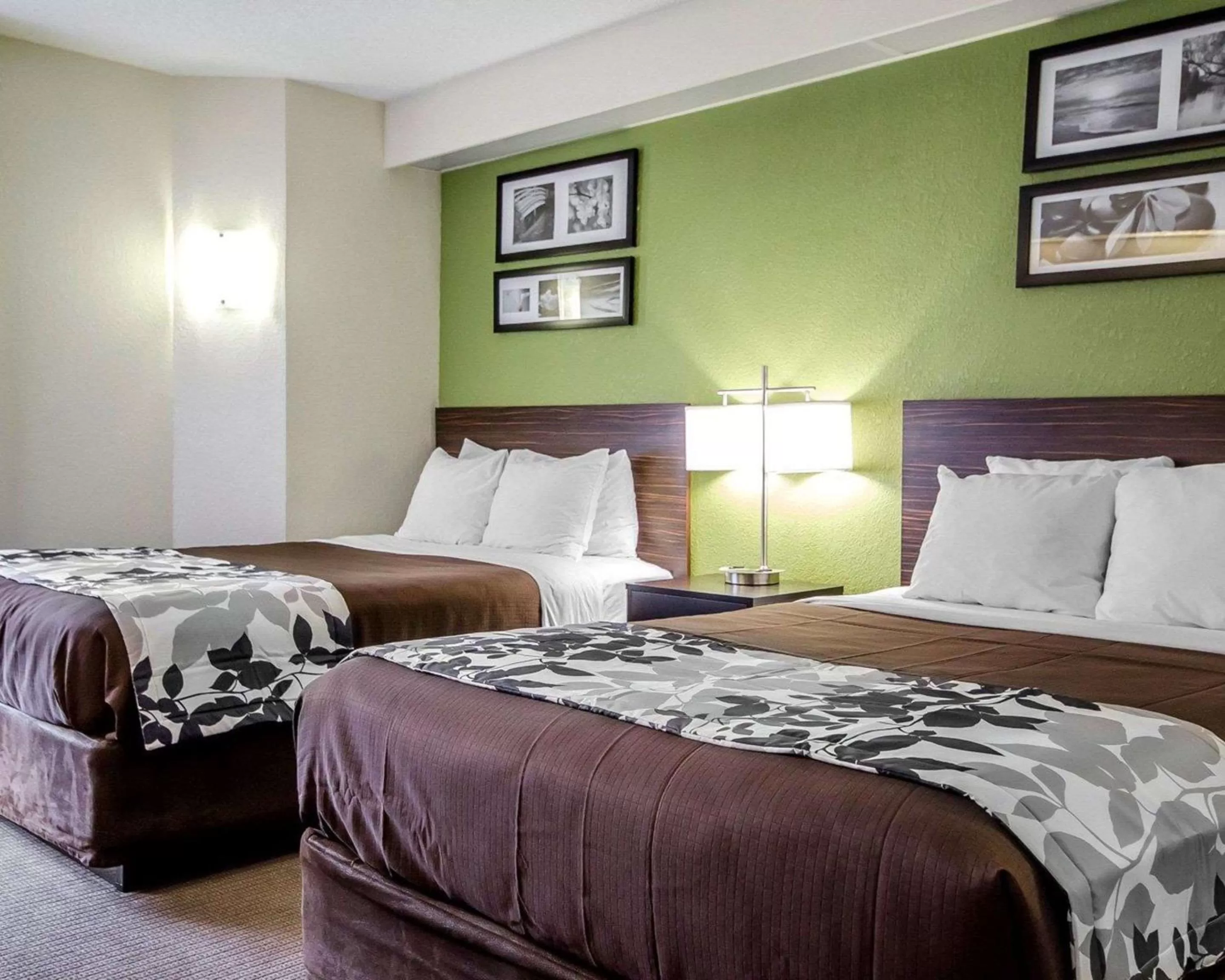 Photo of the whole room in Sleep Inn Louisville Airport & Expo