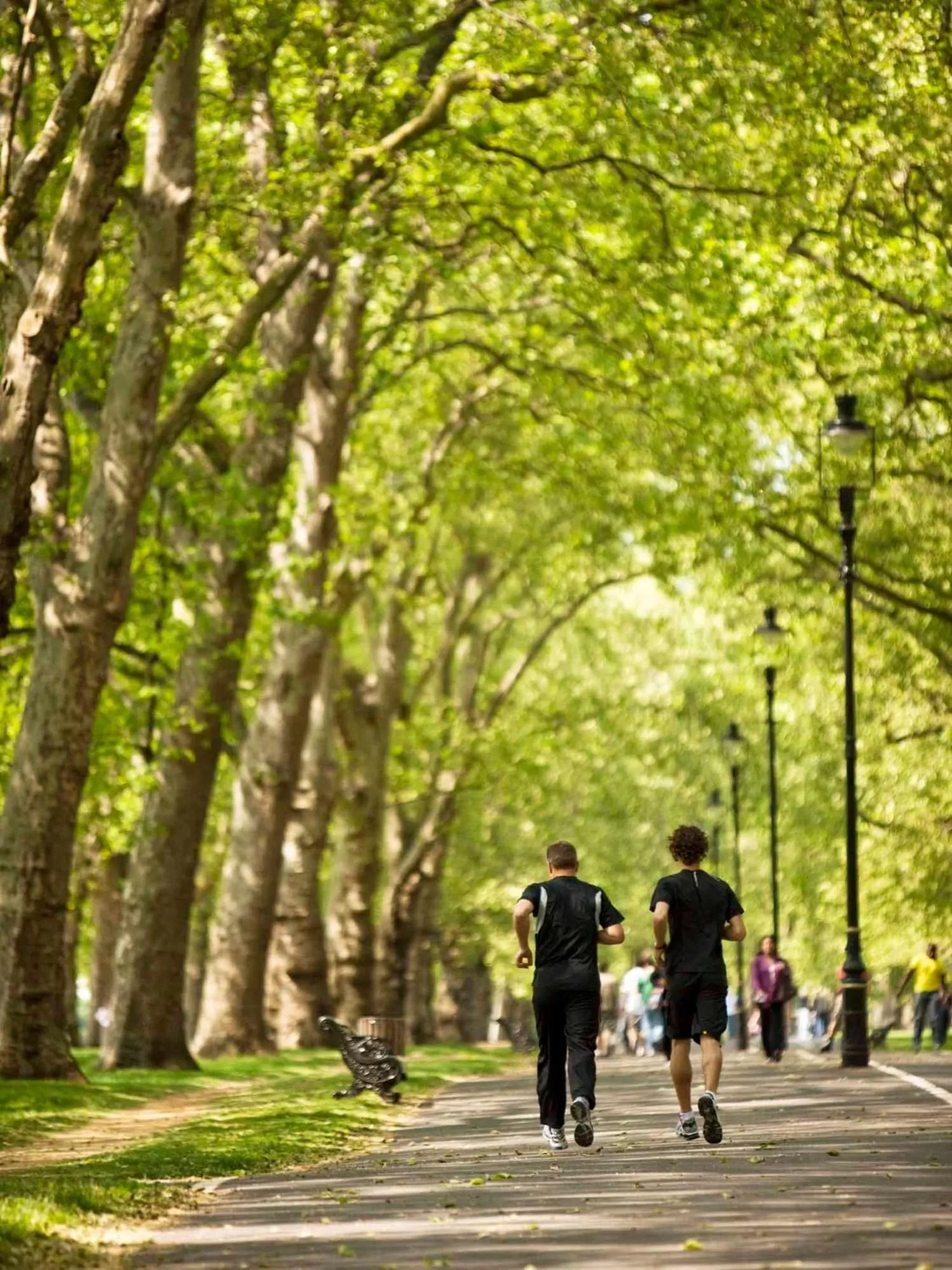 Area and facilities in COMO Metropolitan London