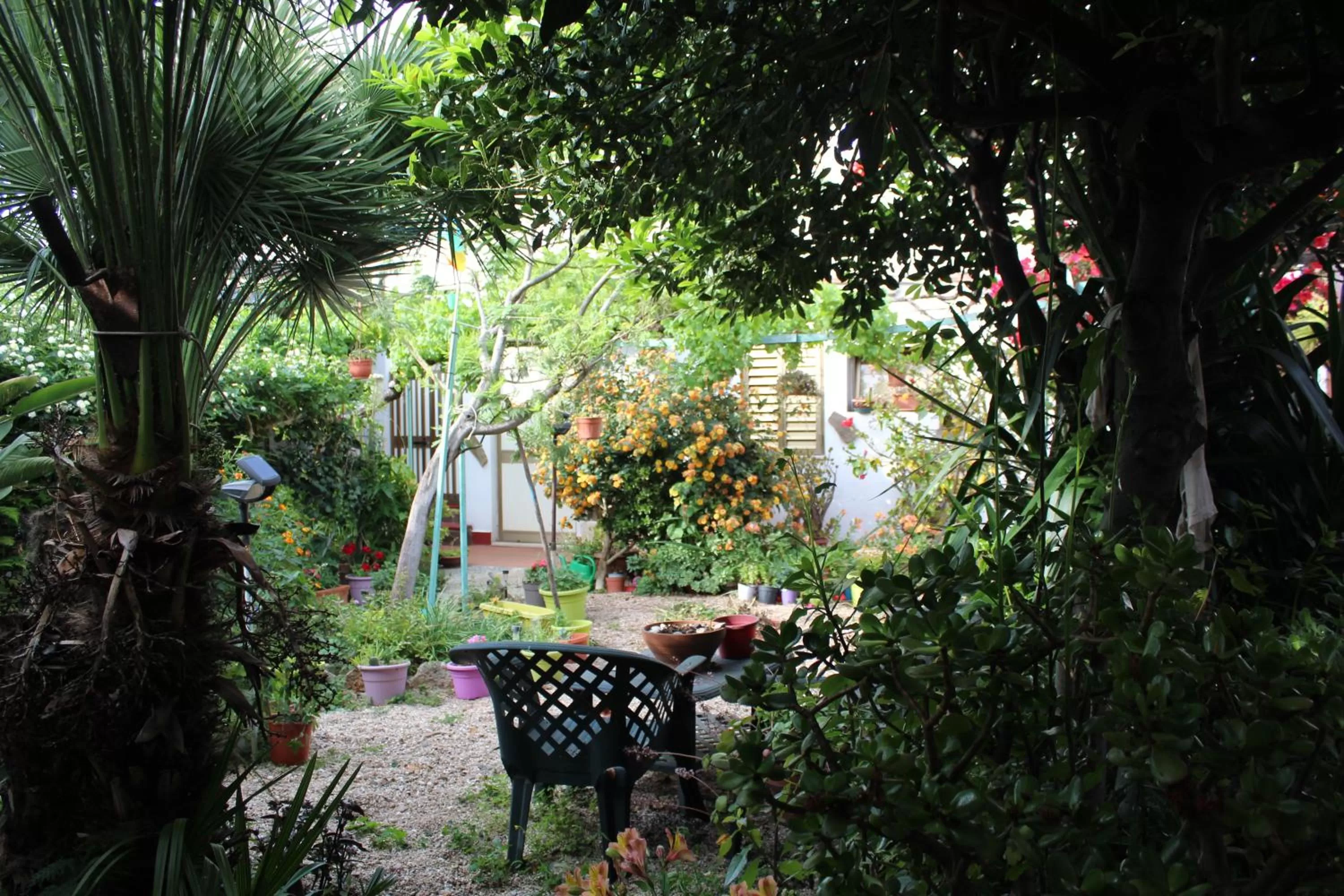 Garden in Bed & Breakfast Paui