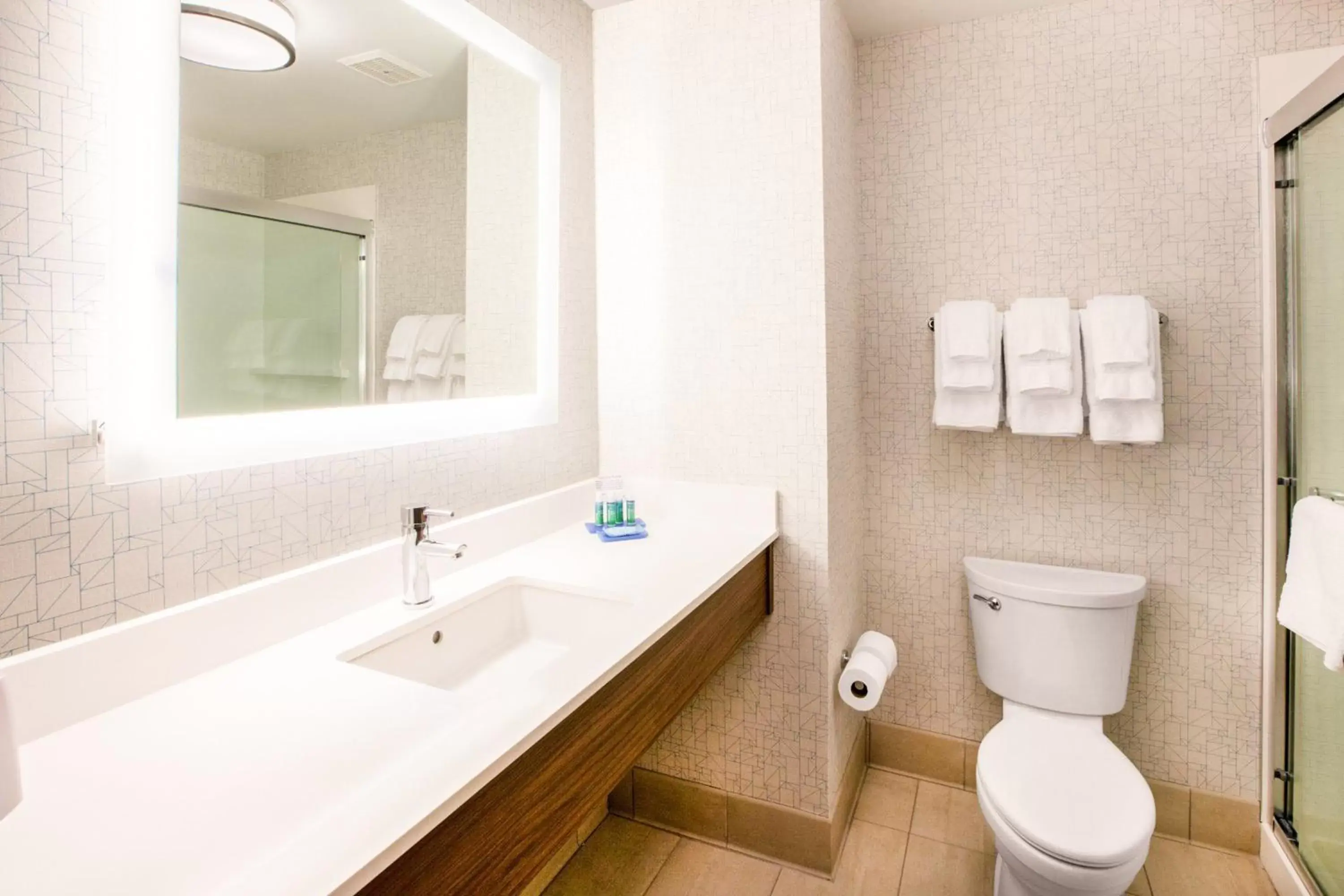Bathroom in Holiday Inn Express & Suites Blythe, an IHG Hotel