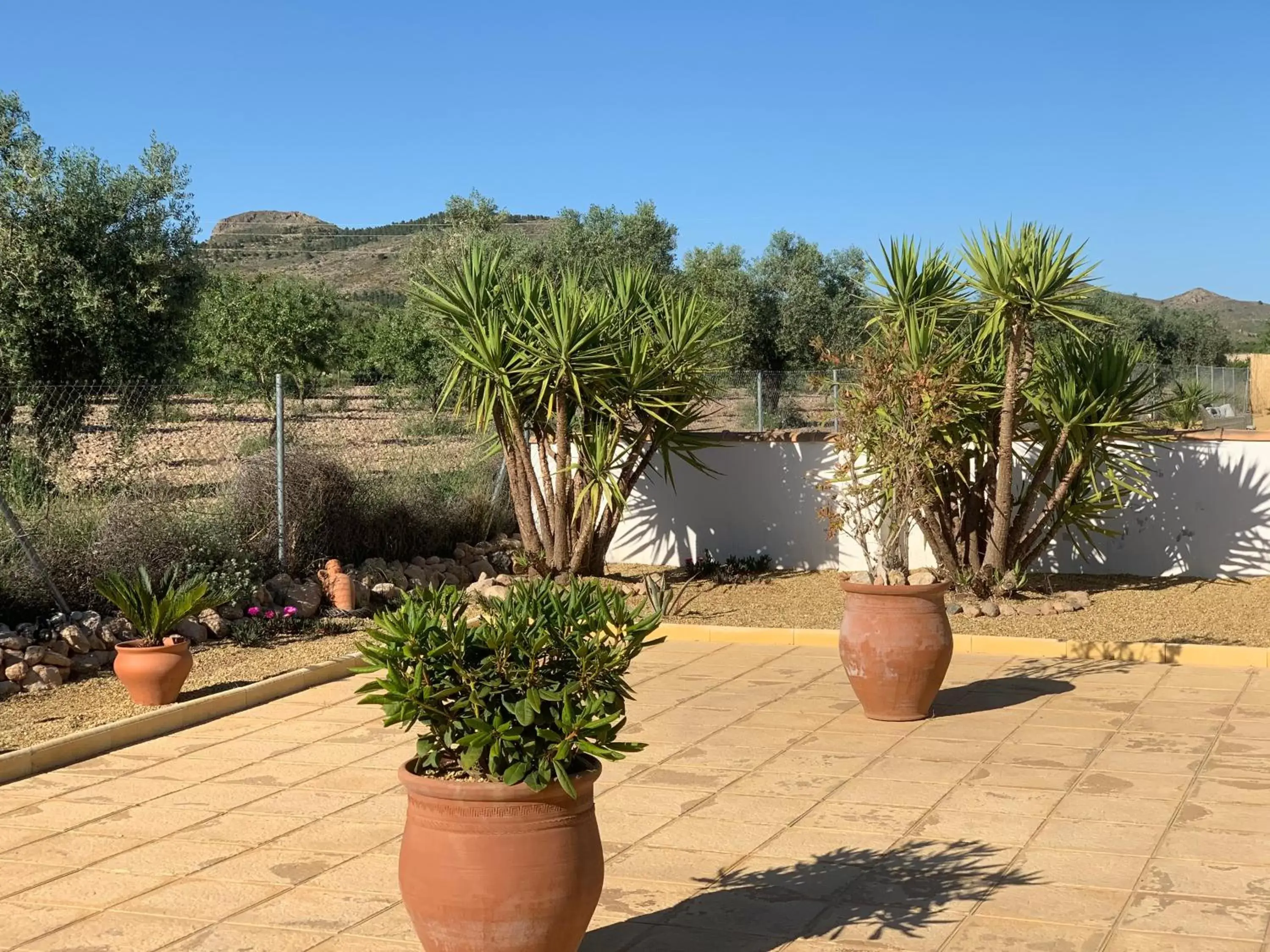 Property building in B&B Casa Blanca Oria