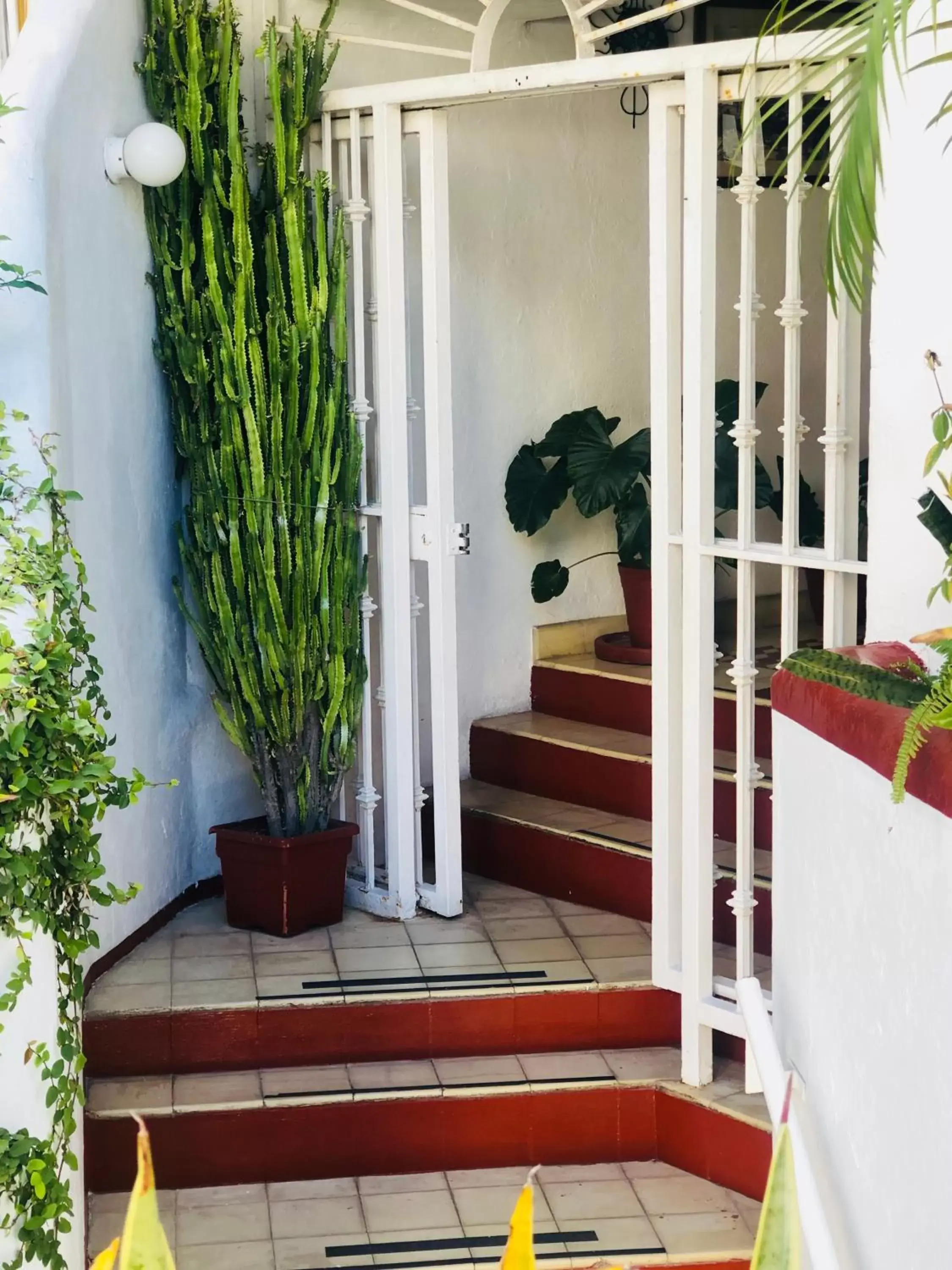 Facade/entrance in Hotel Amaca Puerto Vallarta - Adults Only