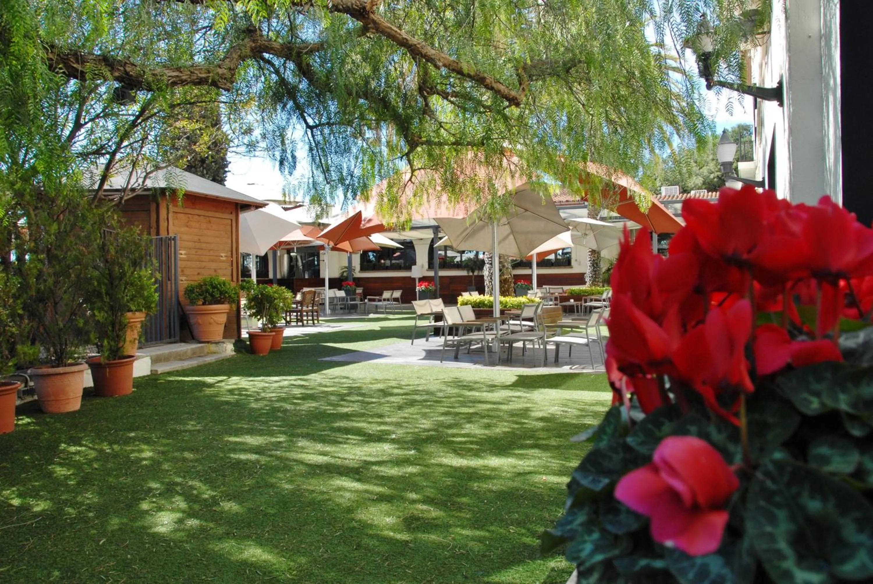 Facade/entrance in Hotel El Castell