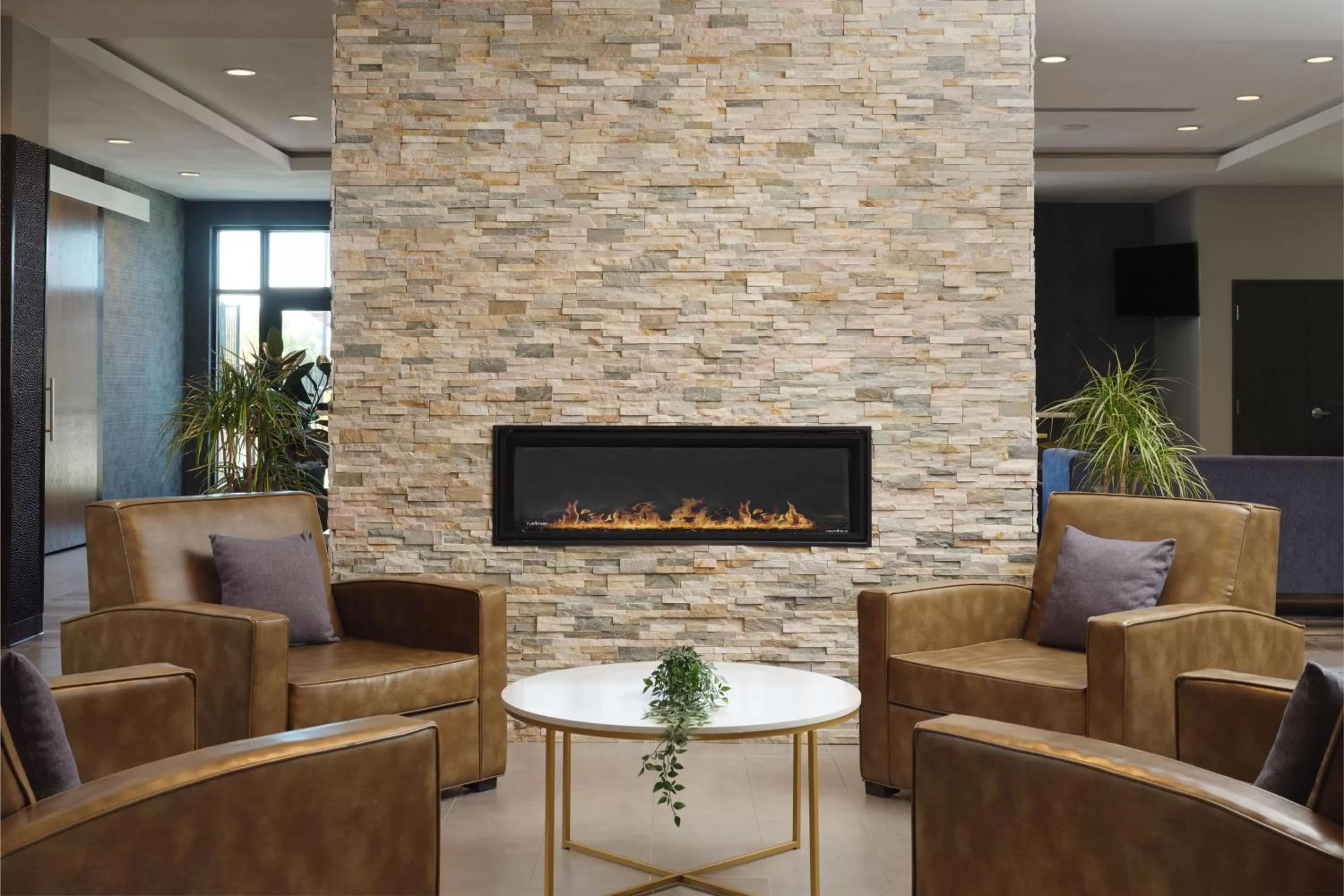 Lobby or reception in SpringHill Suites by Marriott Milpitas Silicon Valley