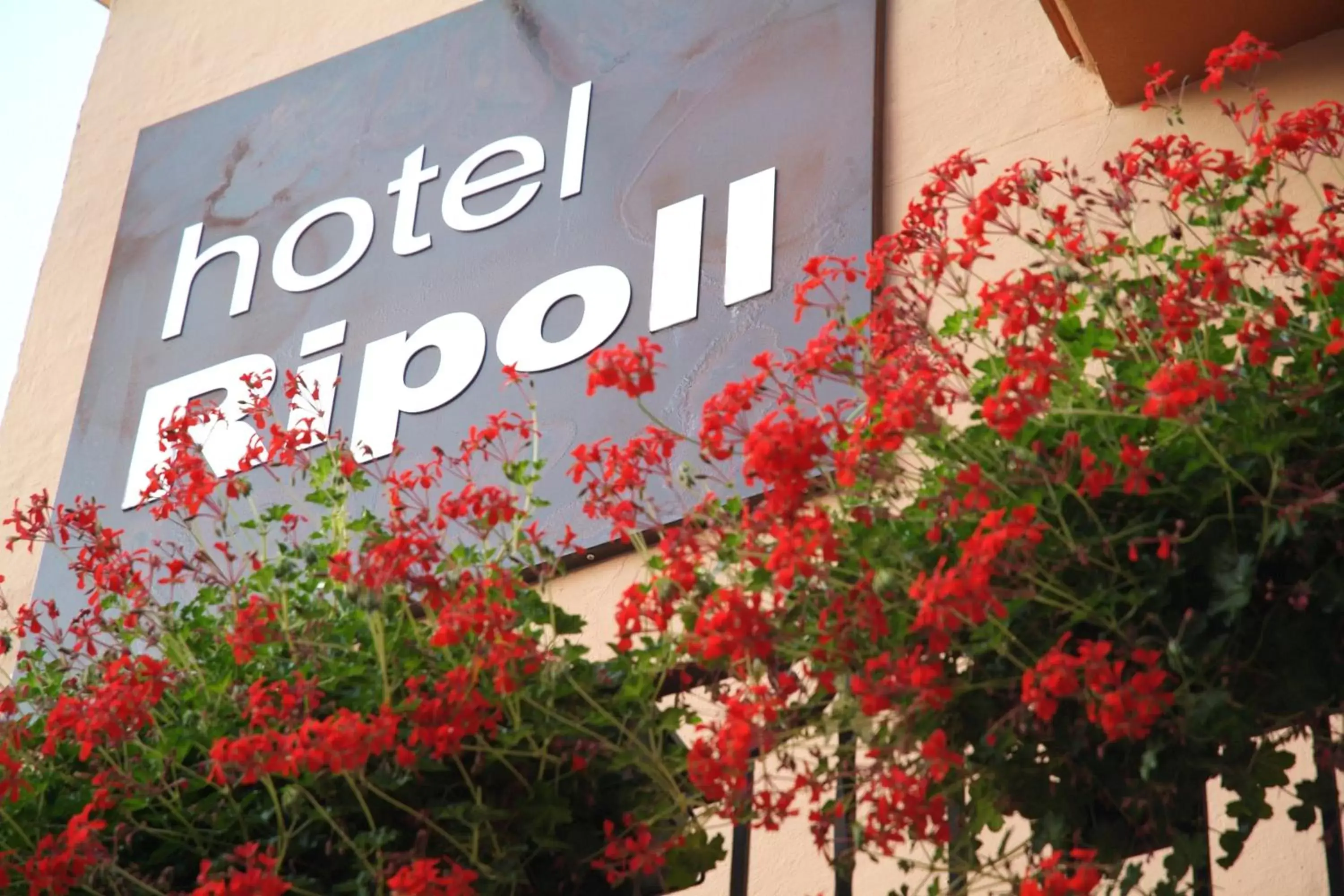 Facade/entrance in Hotel Ripoll