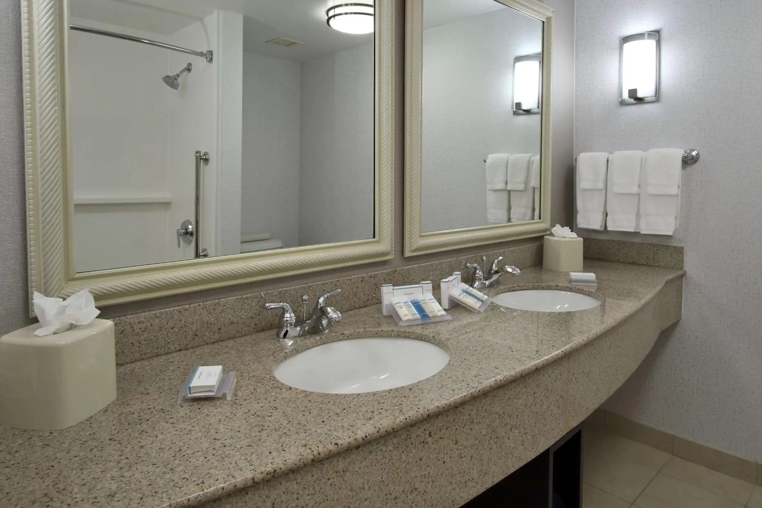Bathroom in Hilton Garden Inn Sonoma County Airport
