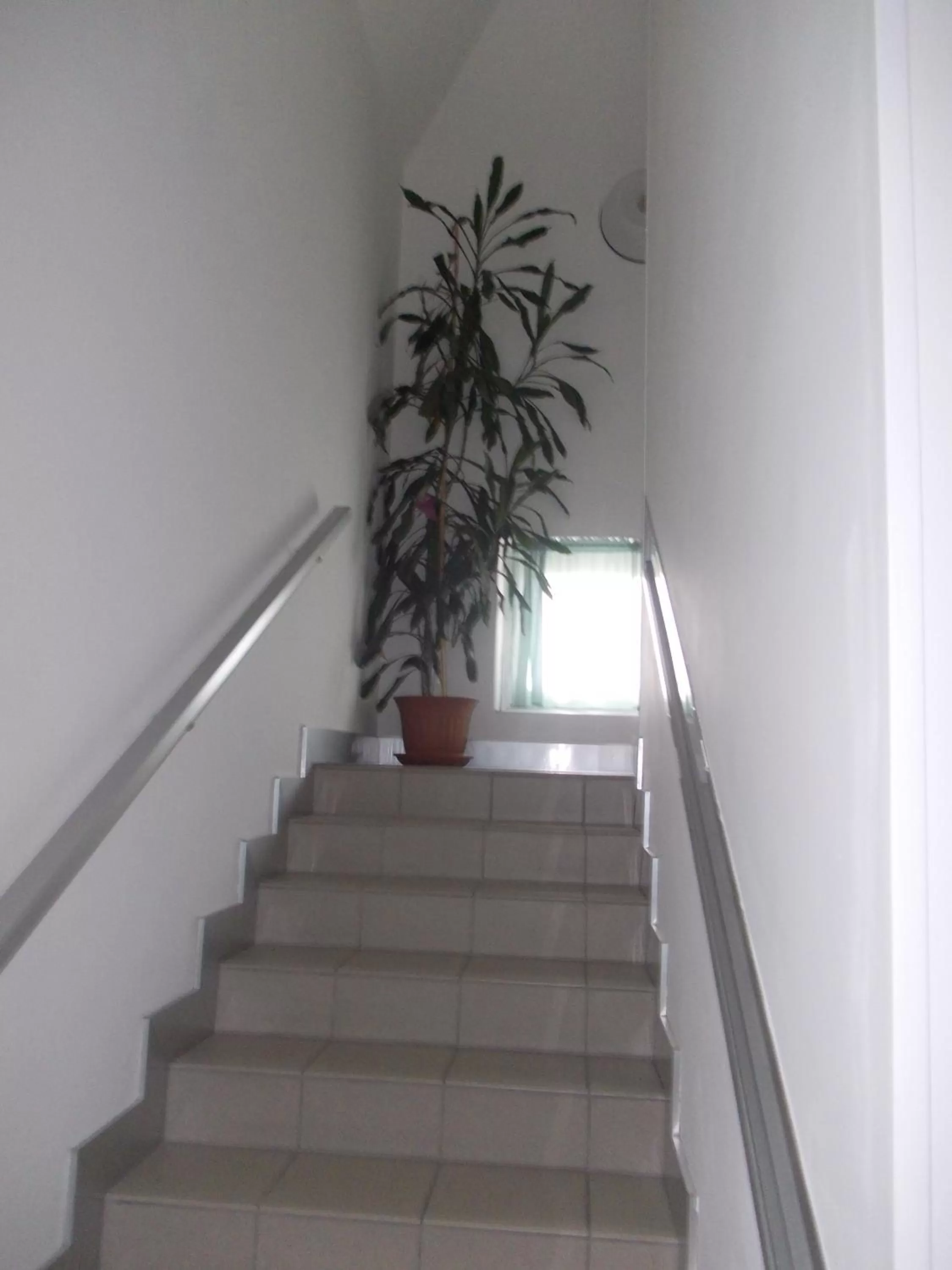 Scacco Rosso via Piave 23