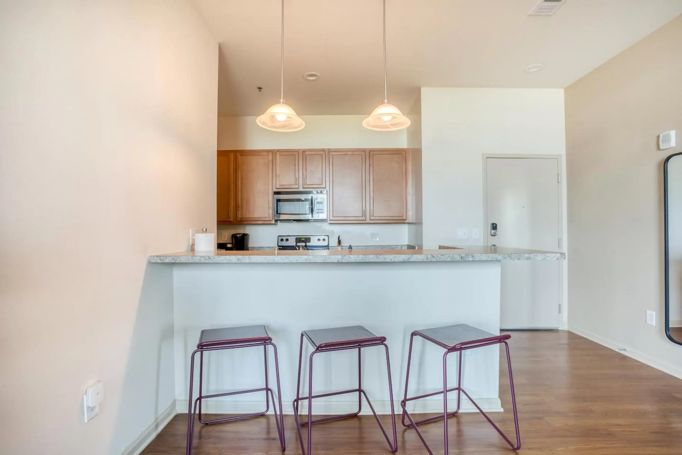 Kitchen or kitchenette, Kitchen/Kitchenette in Mint House Greenville - Downtown