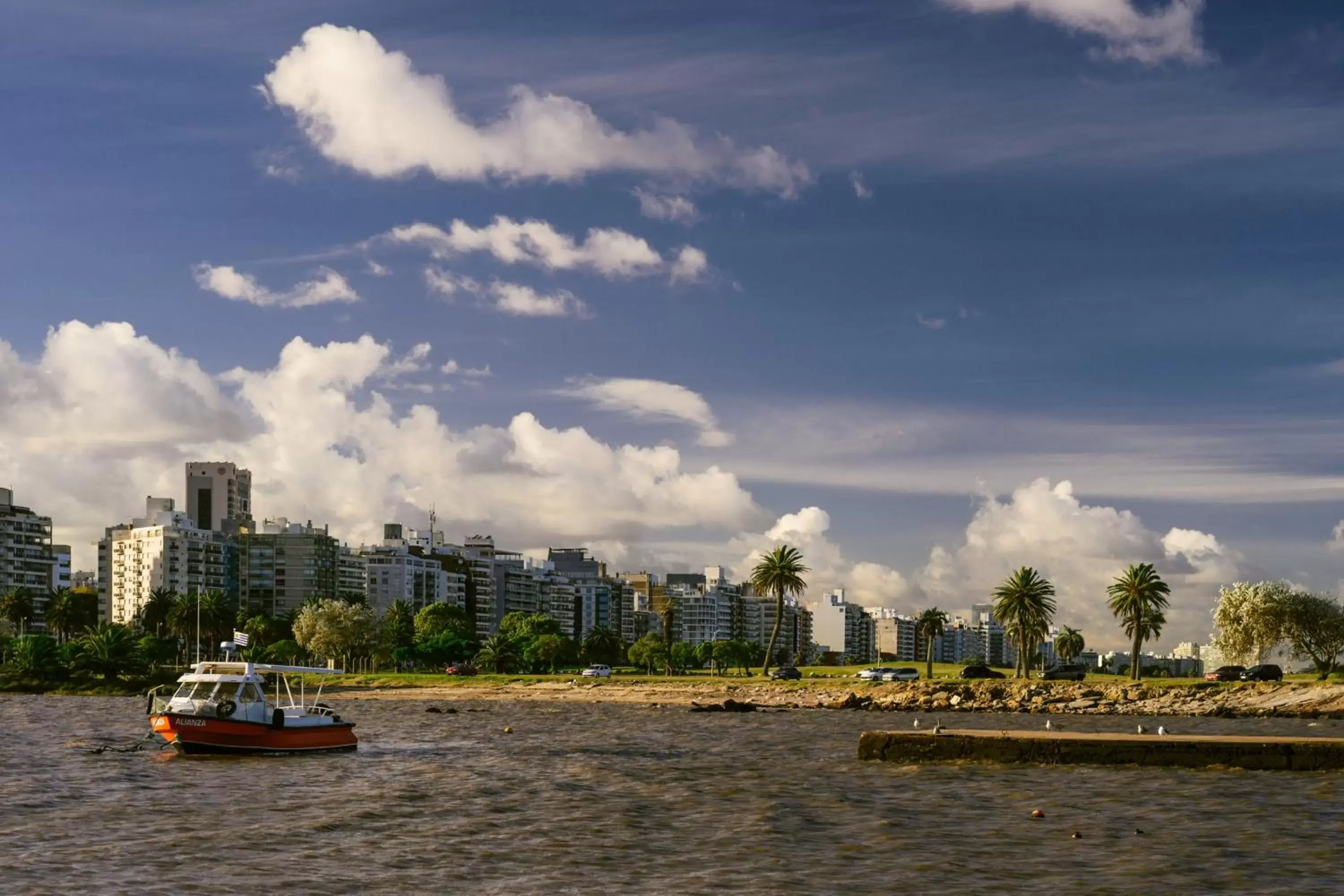 Natural landscape in Own Montevideo