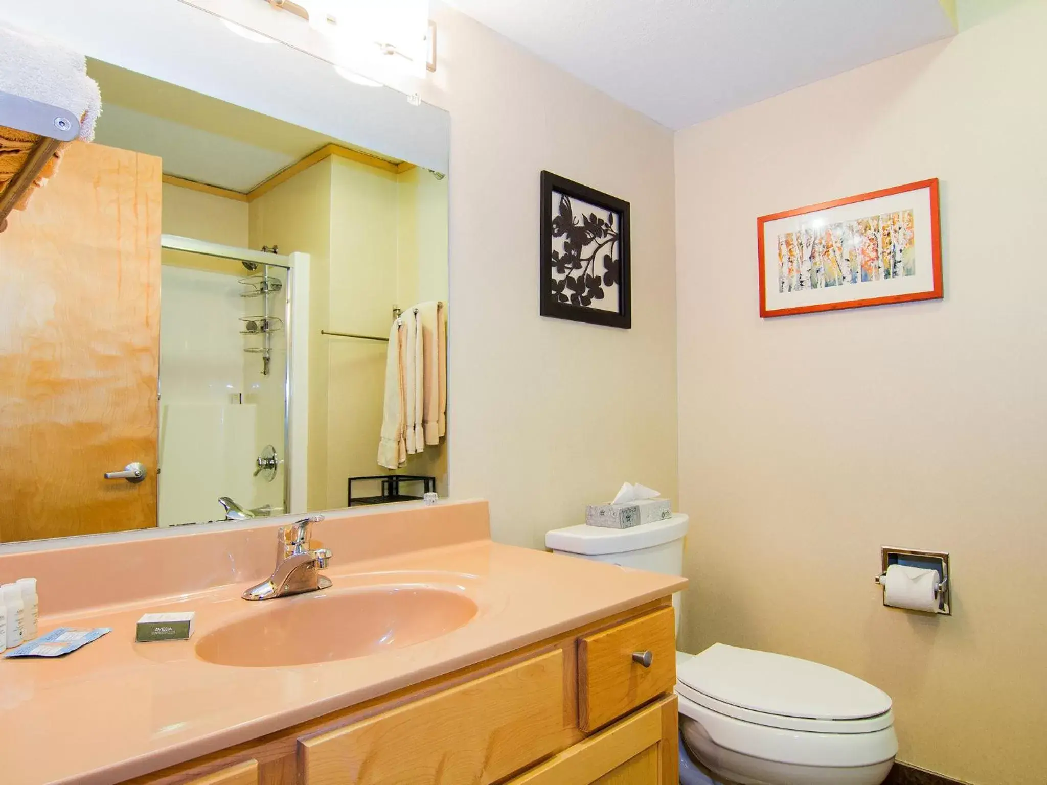Bathroom in East Bay Suites
