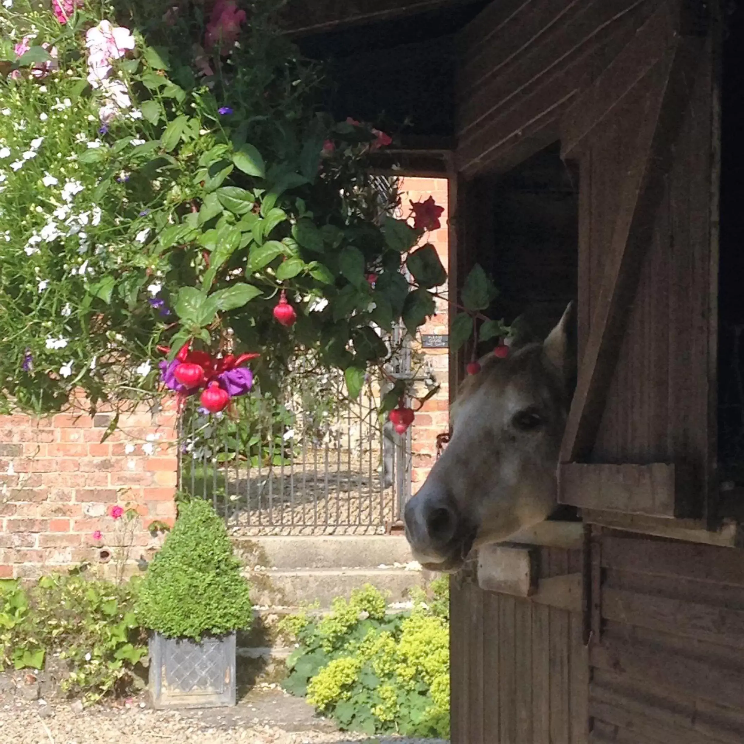 Other Animals in Blounts Court Farm