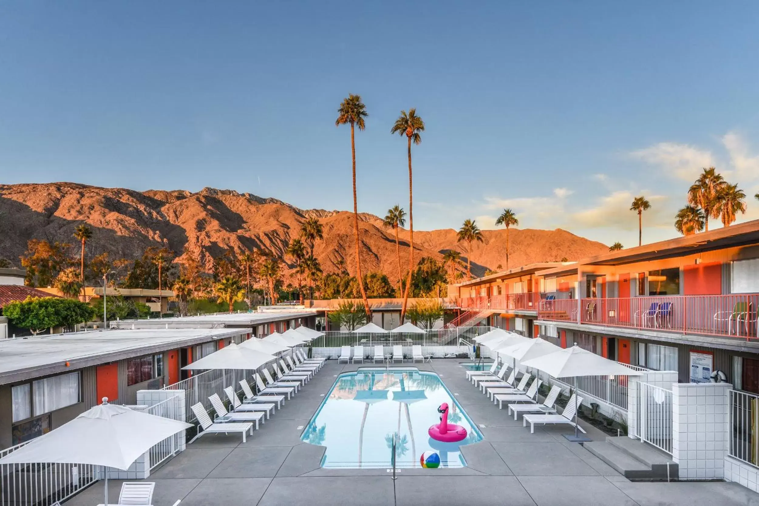 Pool view in The Skylark, a Palm Springs Hotel