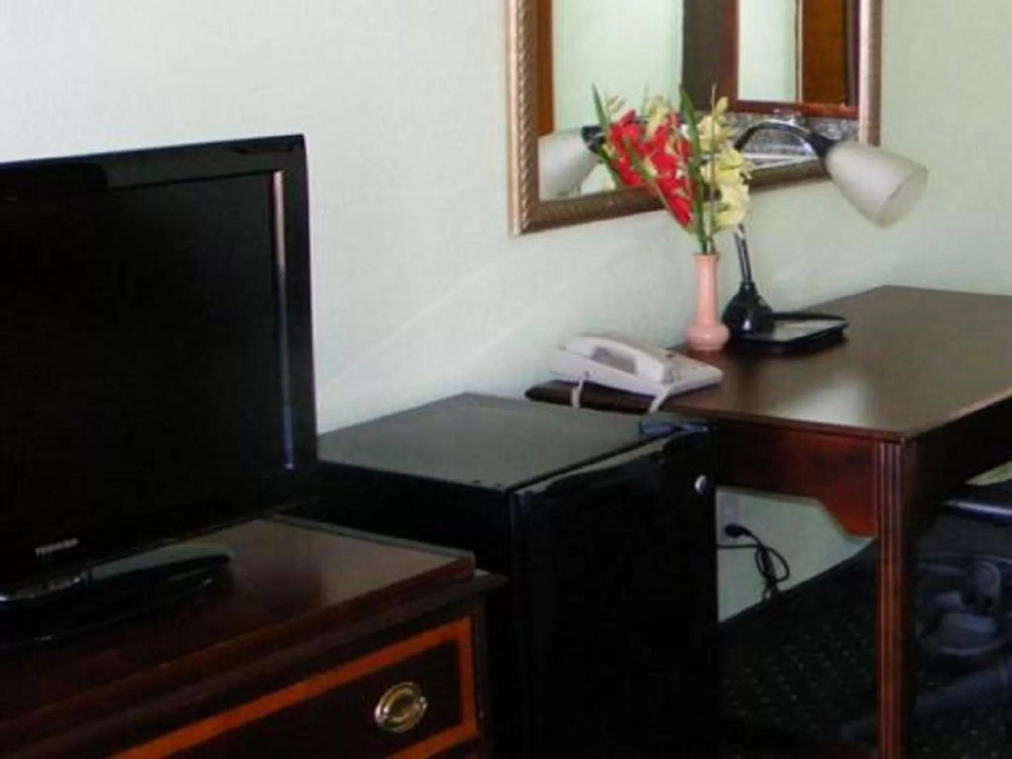 TV and multimedia in Budget Inn Palmyra