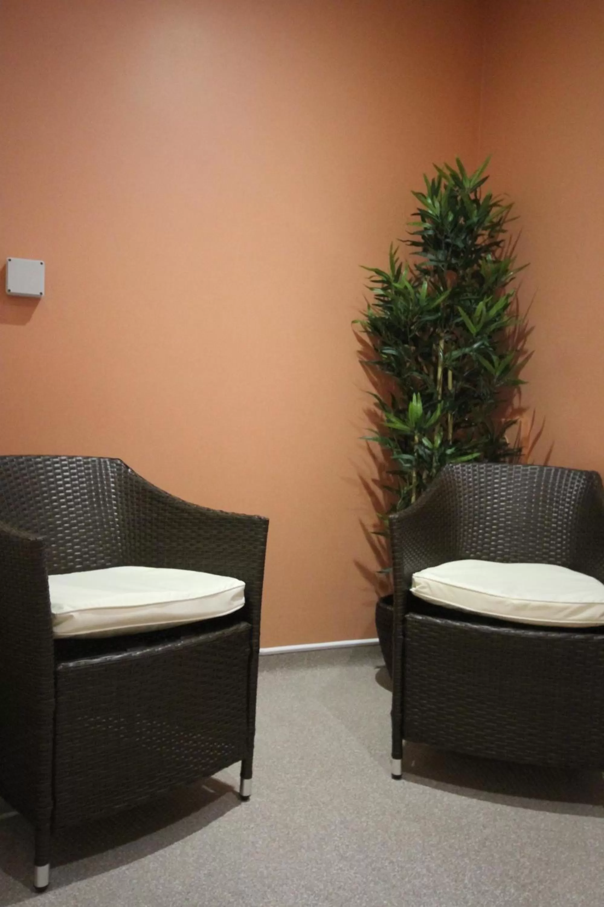 Seating area in The Lion Hotel