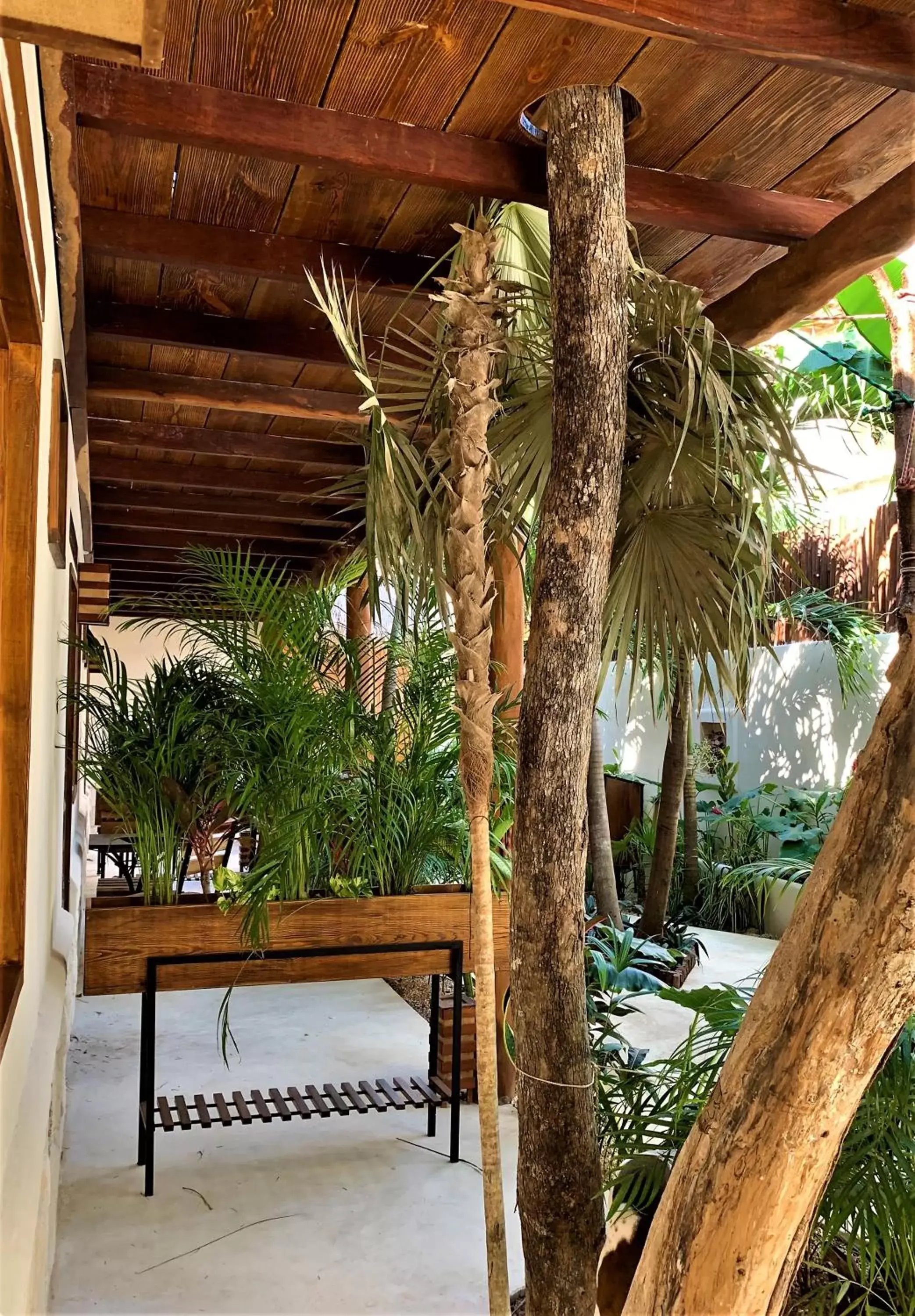 Patio, Swimming Pool in Hotel Boutique TerraNova